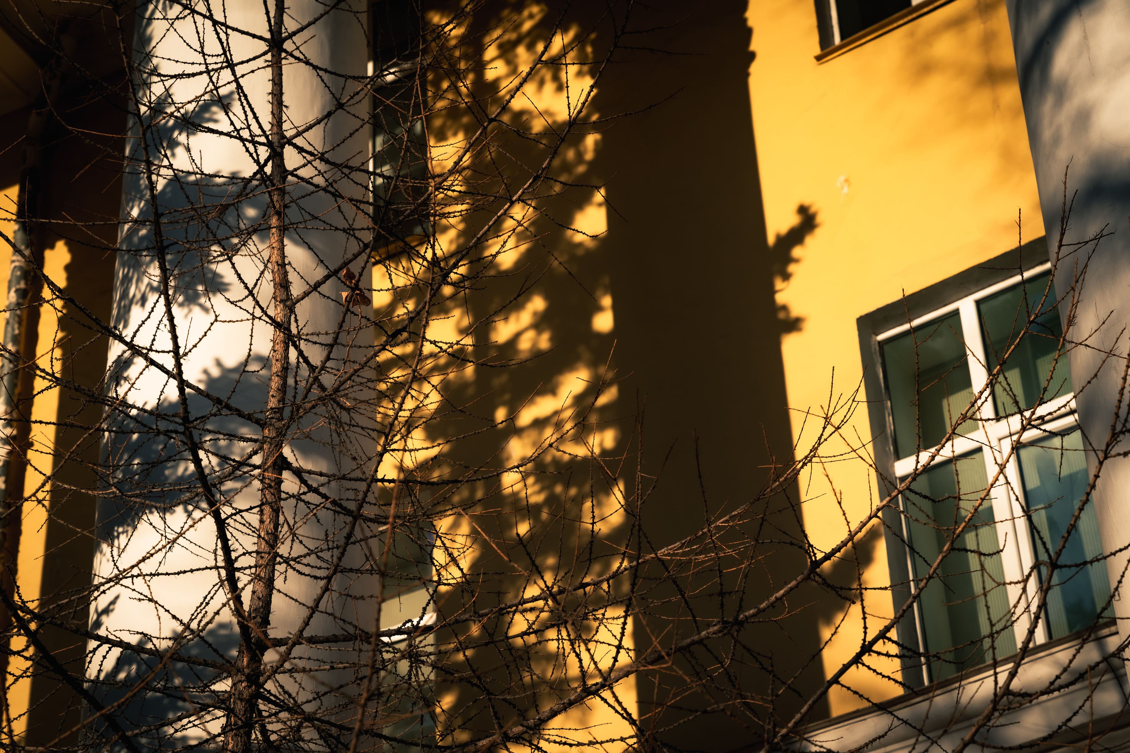 In Ulaanbaatar: Golden Hour нийтлэлийн зураг