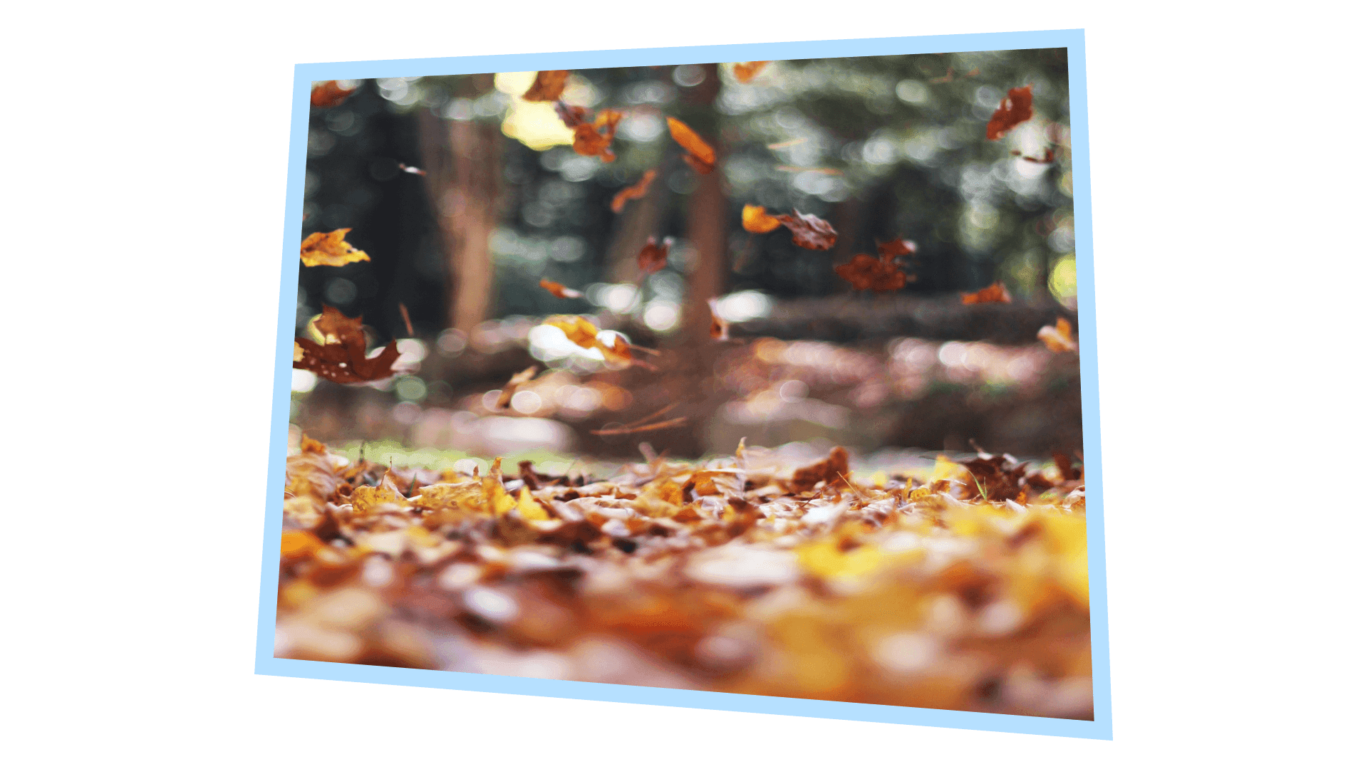 18-34 насныхны түгээмэл айдас “Зун дуусах нь ээ”...   нийтлэлийн зураг