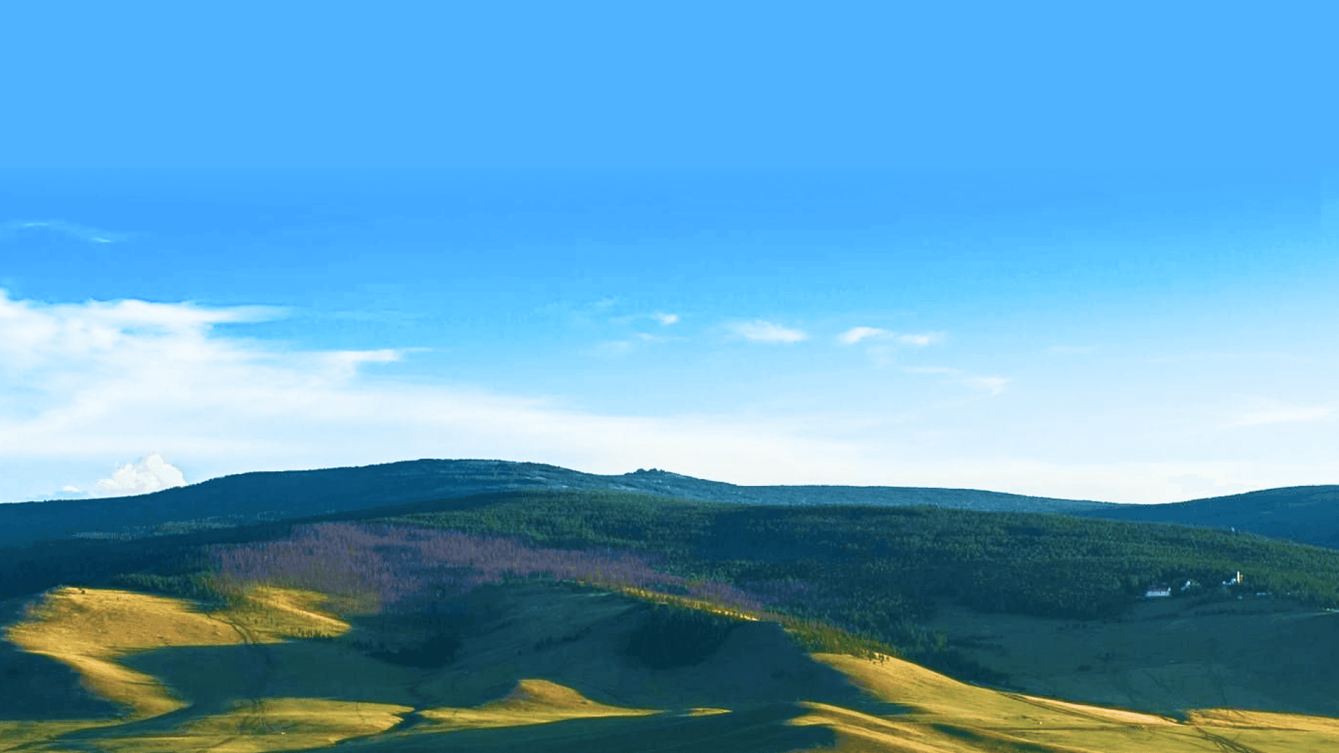 18-34 насныхны түгээмэл айдас “Зун дуусах нь ээ”...   нийтлэлийн зураг