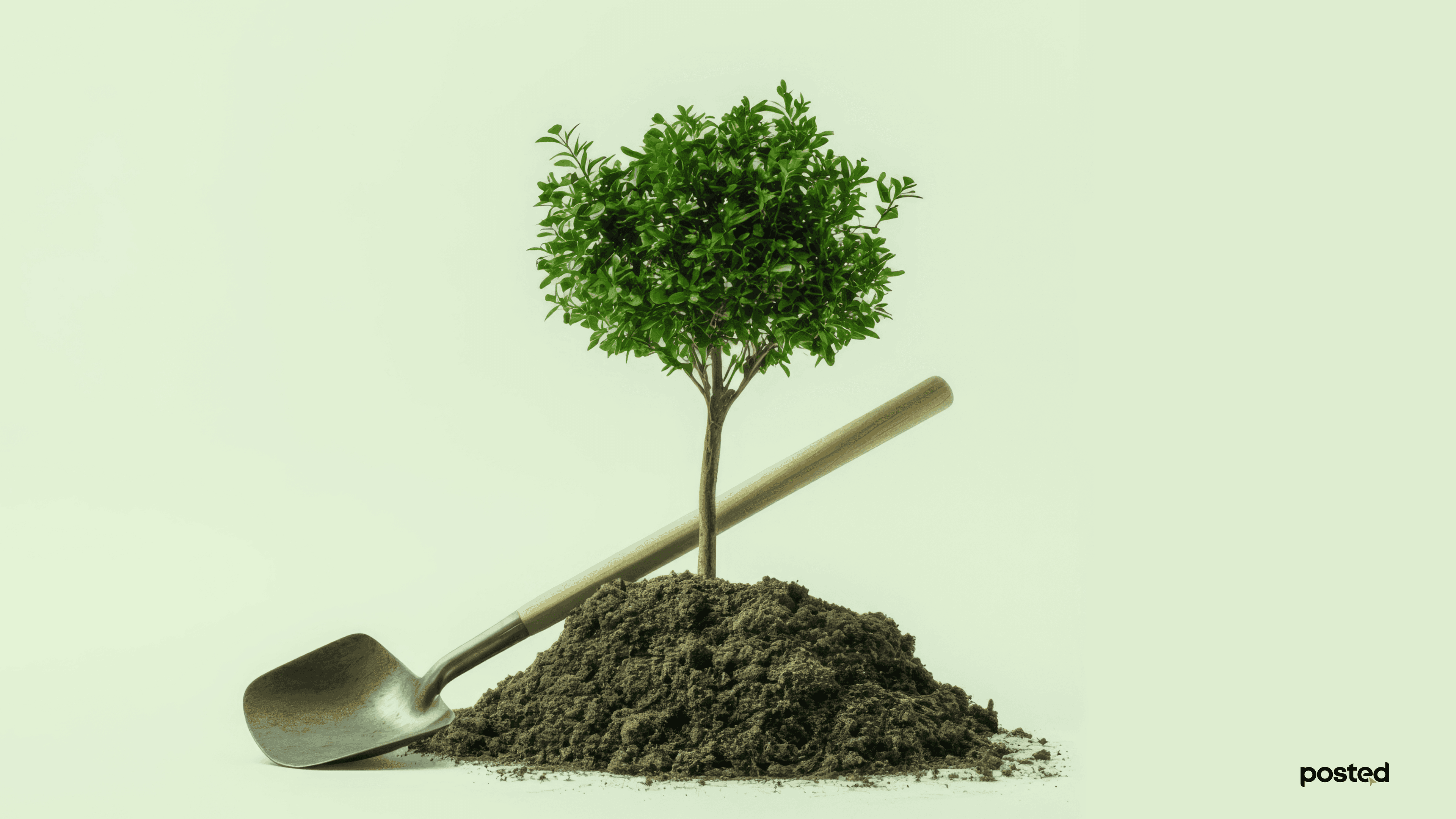 Намар тарьсан мод бусад үеэс 10 хувиар илүү ургадаг  - нийтлэлийн зураг