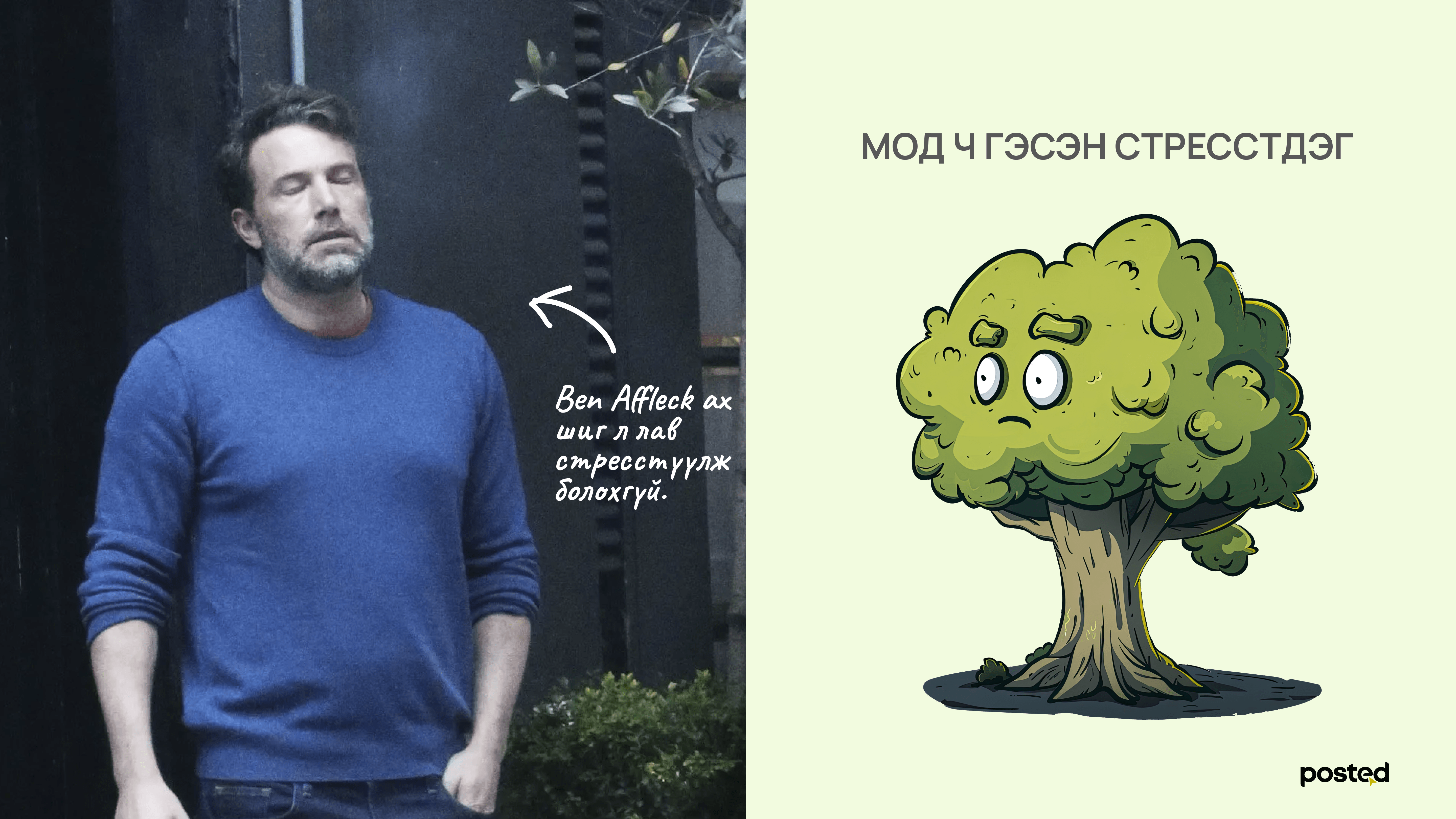 Намар тарьсан мод бусад үеэс 10 хувиар илүү ургадаг  нийтлэлийн зураг