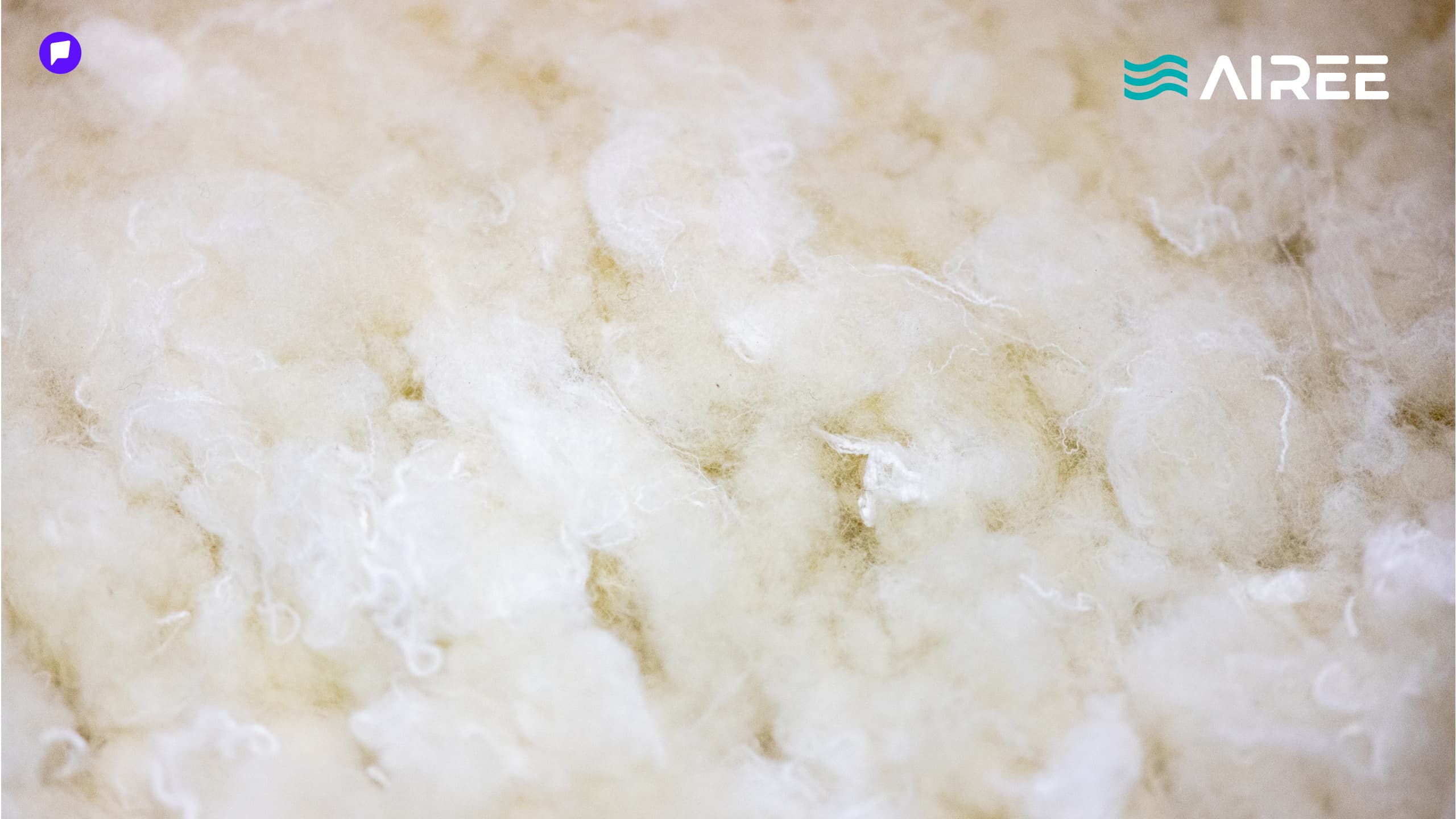 А.Бэлгүтэй: Агаар цэвэршүүлэгчийн шүүлтүүрийг бид Монголдоо, монгол хонины ноосоор үйлдвэрлэдэг нийтлэлийн зураг