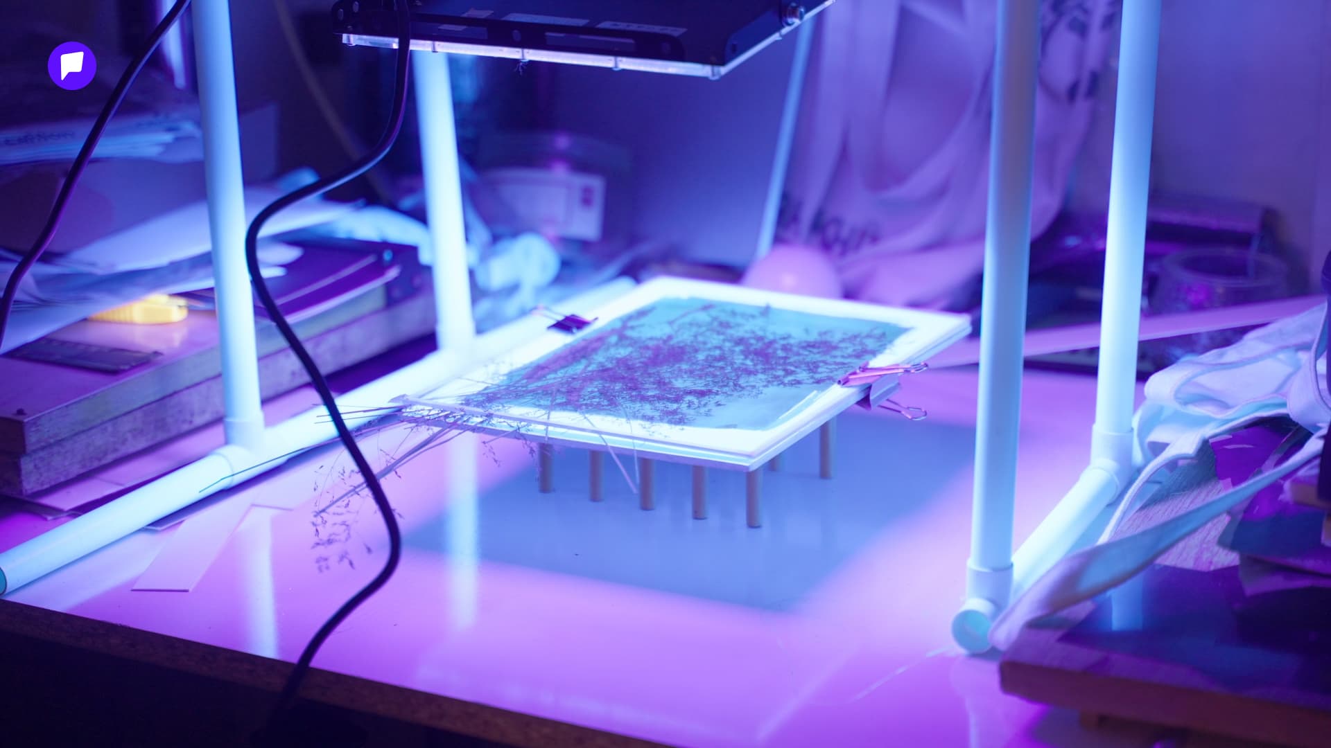 Сурвалжилга: Хэрхэн алтернатив техникийг ашиглан гэрэл зургийг мянган жил хадгалдаг вэ? нийтлэлийн зураг