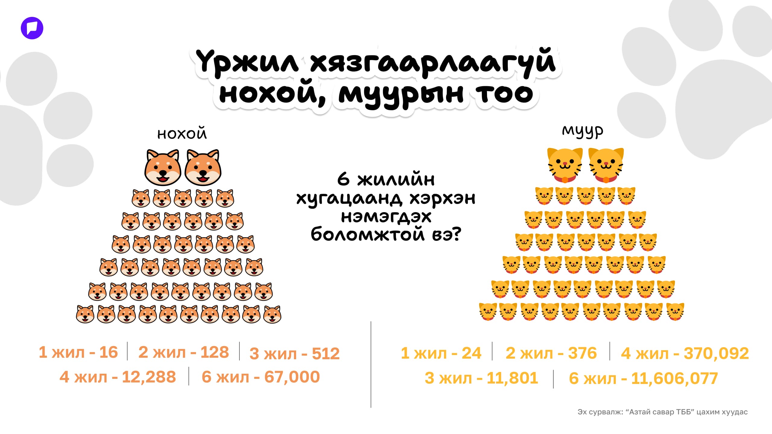 А.Билгүүн: Гэрийн тэжээвэр амьтны тухай хууль бол нийгмийн хариуцлагыг тодорхойлж, иргэд хоорондын харилцааг зохицуулах суурь  нийтлэлийн зураг