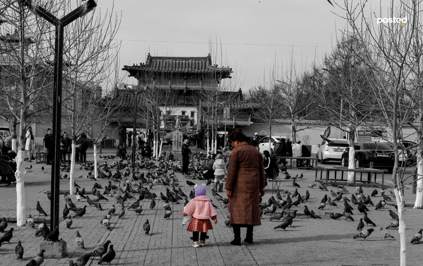 “Судалгаа бол бидний дуу хоолойгоо өргөж буй, өөрийгөө илэрхийлж буй нэг хэлбэр”  нийтлэлийн зураг