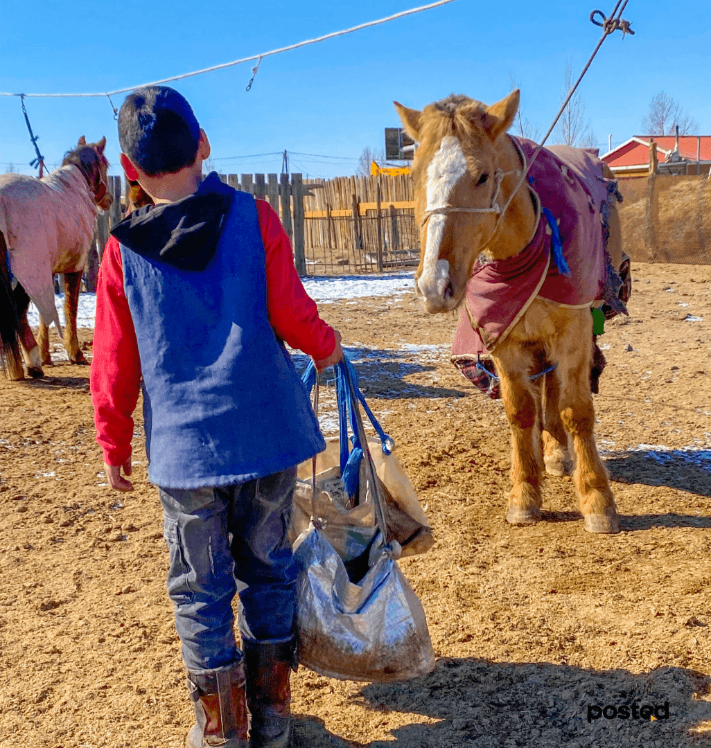 “Би өндөр болъё гэж боддоггүй, дахиад 2, 3 жил морио унаад уралдмаар байна”  нийтлэлийн зураг