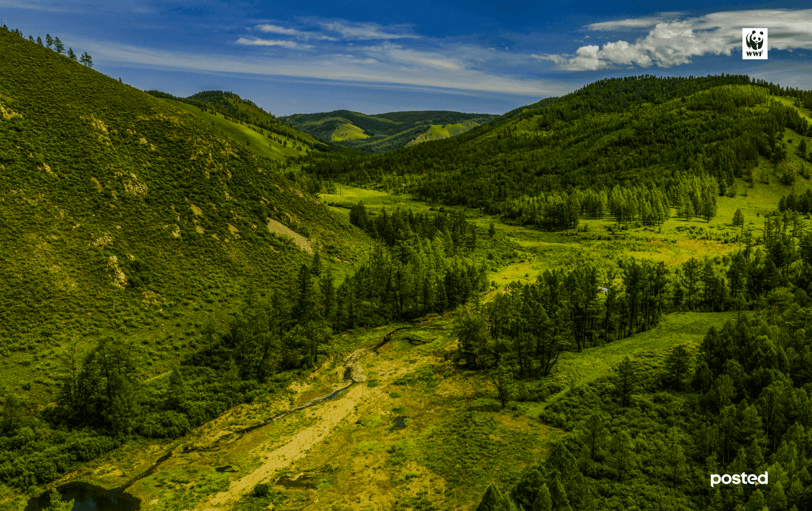 Алтны сүүдэрт гундаж мэдэх Гутайн даваа   - нийтлэлийн зураг
