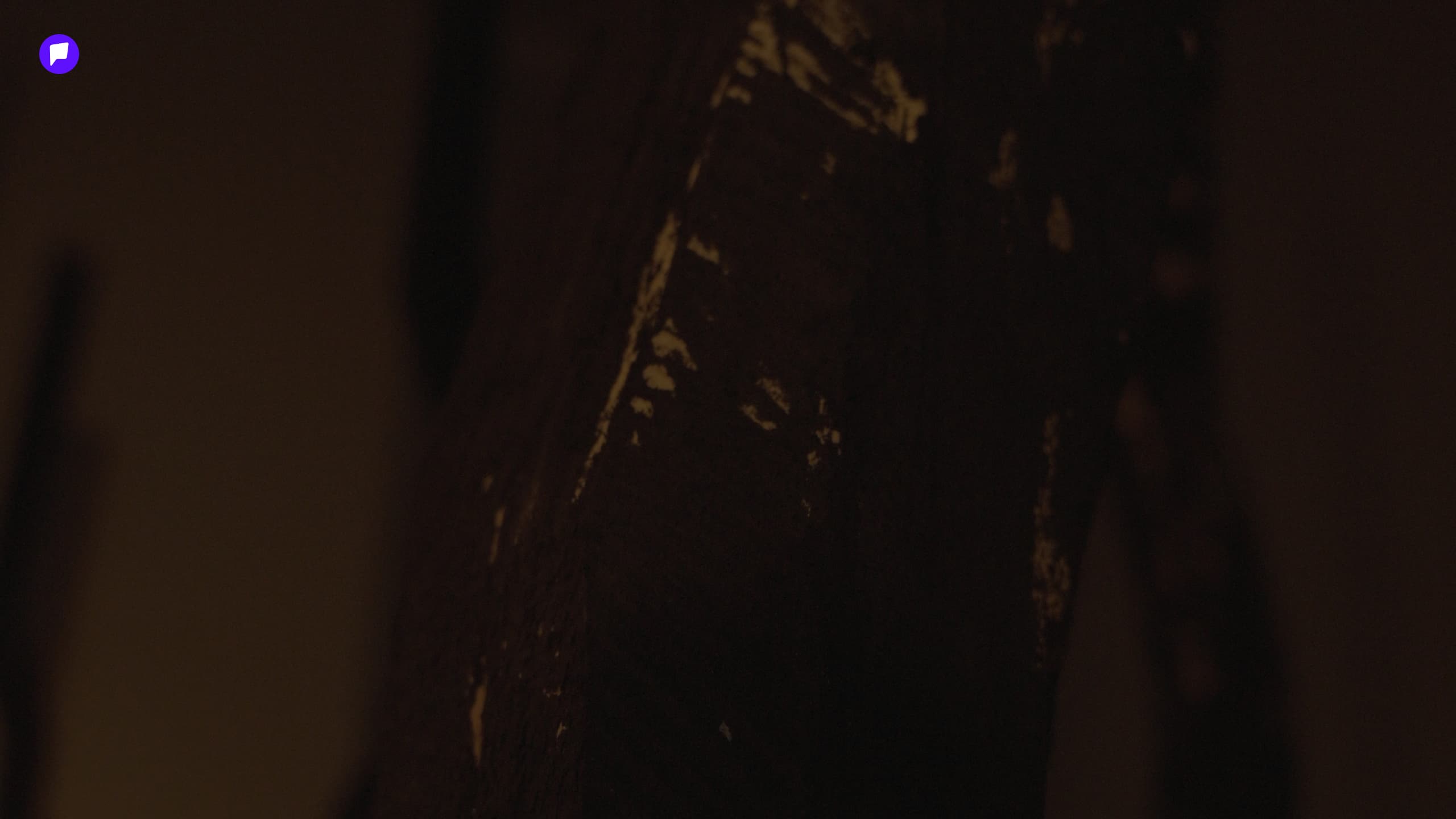 Үзэсгэлэнгийн тэмдэглэл: Өөрийгөө хүлээн зөвшөөрөхүйн урлаг нийтлэлийн зураг