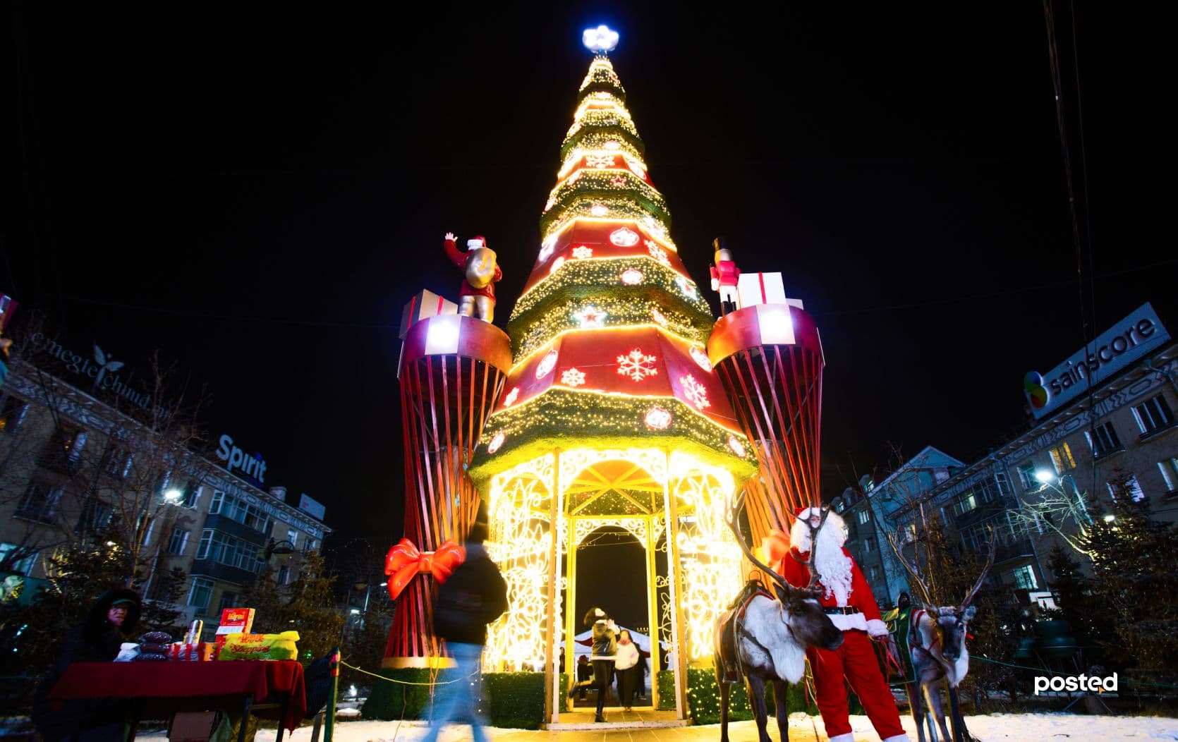 ФОТО: Улаанбаатарын хамгийн гоёмсог СҮЛД МОДОД нийтлэлийн зураг