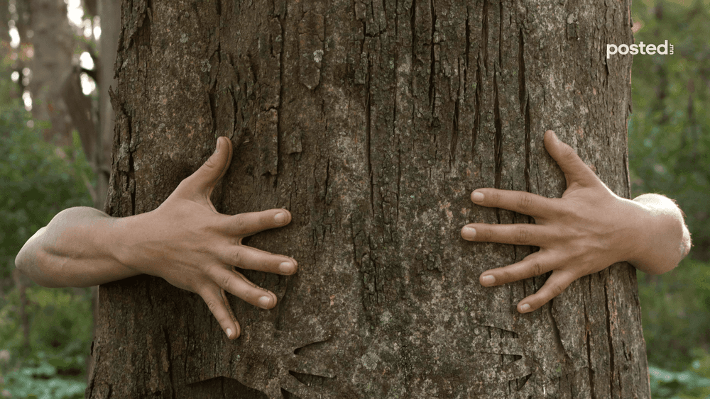 Байгаль бидний сэтгэл зүйд хэрхэн нөлөөлдөг вэ? - нийтлэлийн зураг