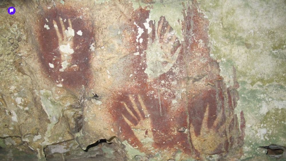 Дэлхийн хамгийн эртний хадны зураг Индонези улсаас олджээ - нийтлэлийн зураг