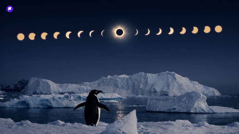 Оцон шувууд л харах боломжтой нарны хиртэлт - нийтлэлийн зураг