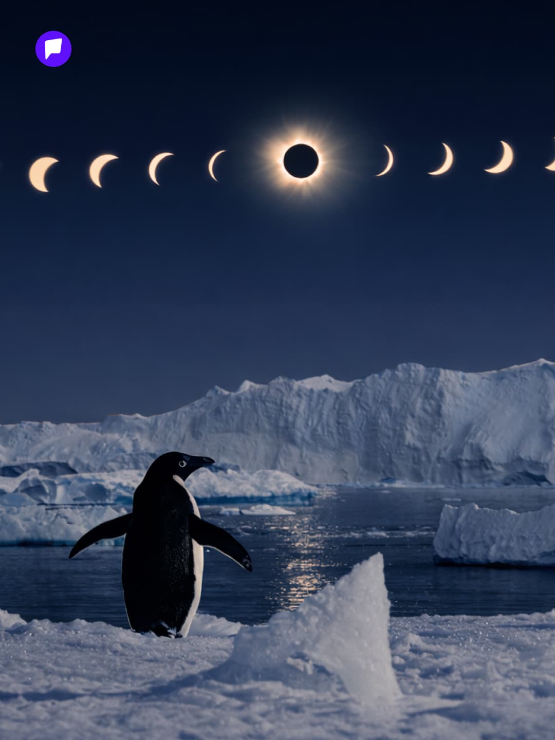 Оцон шувууд л харах боломжтой нарны хиртэлт - онцлох нийтлэлийн зураг