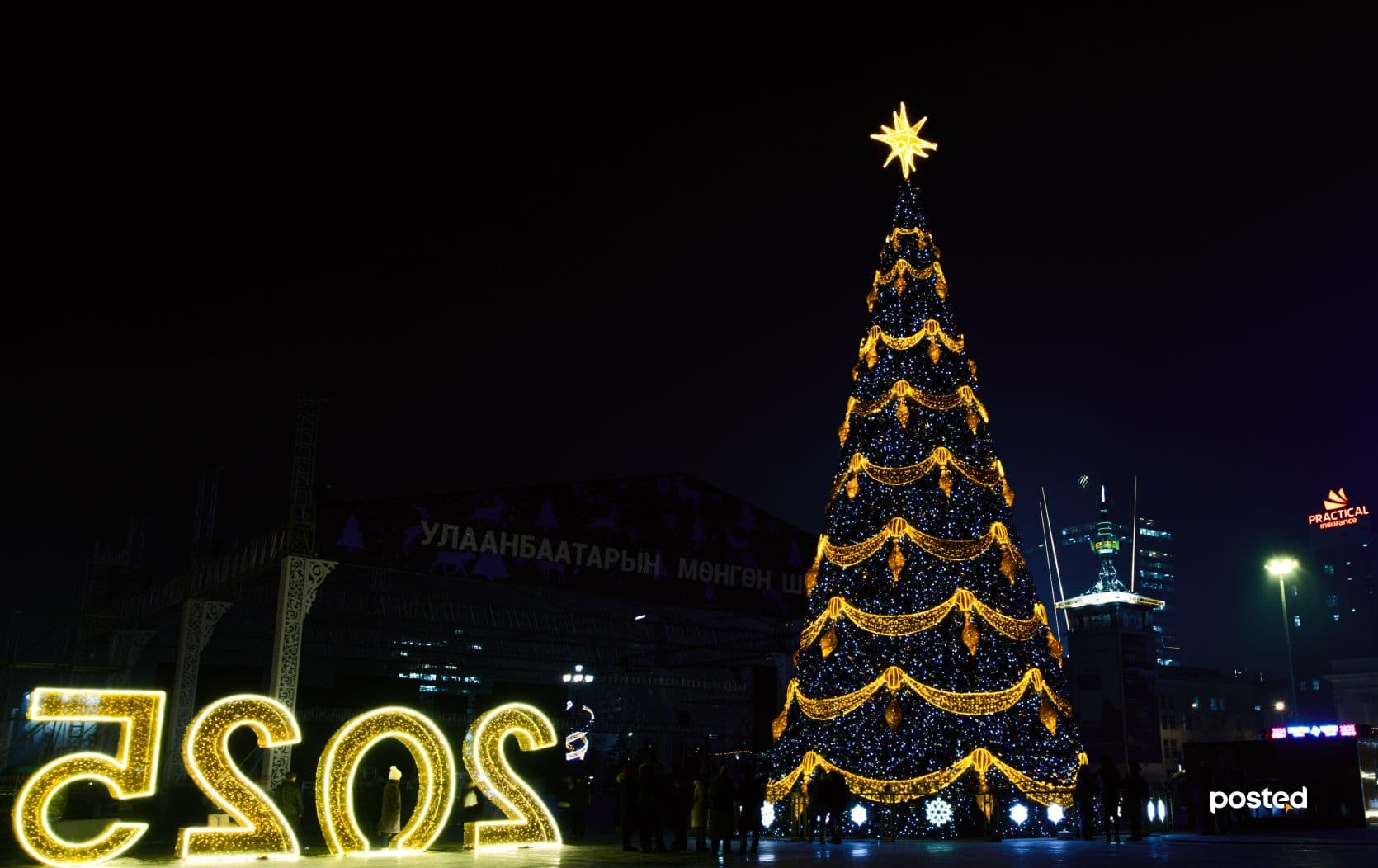 ФОТО: Улаанбаатарын хамгийн гоёмсог СҮЛД МОДОД нийтлэлийн зураг