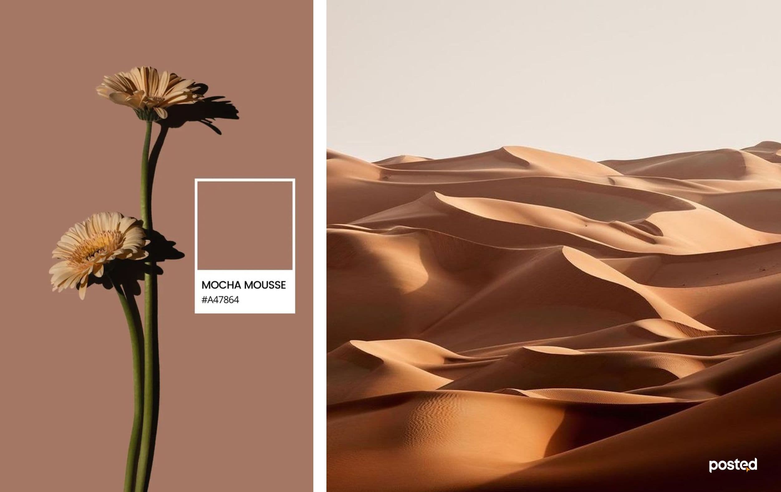 Pantone өнгөний нууцад нэвтрэхүй: Юу, яагаад, яаж?  нийтлэлийн зураг