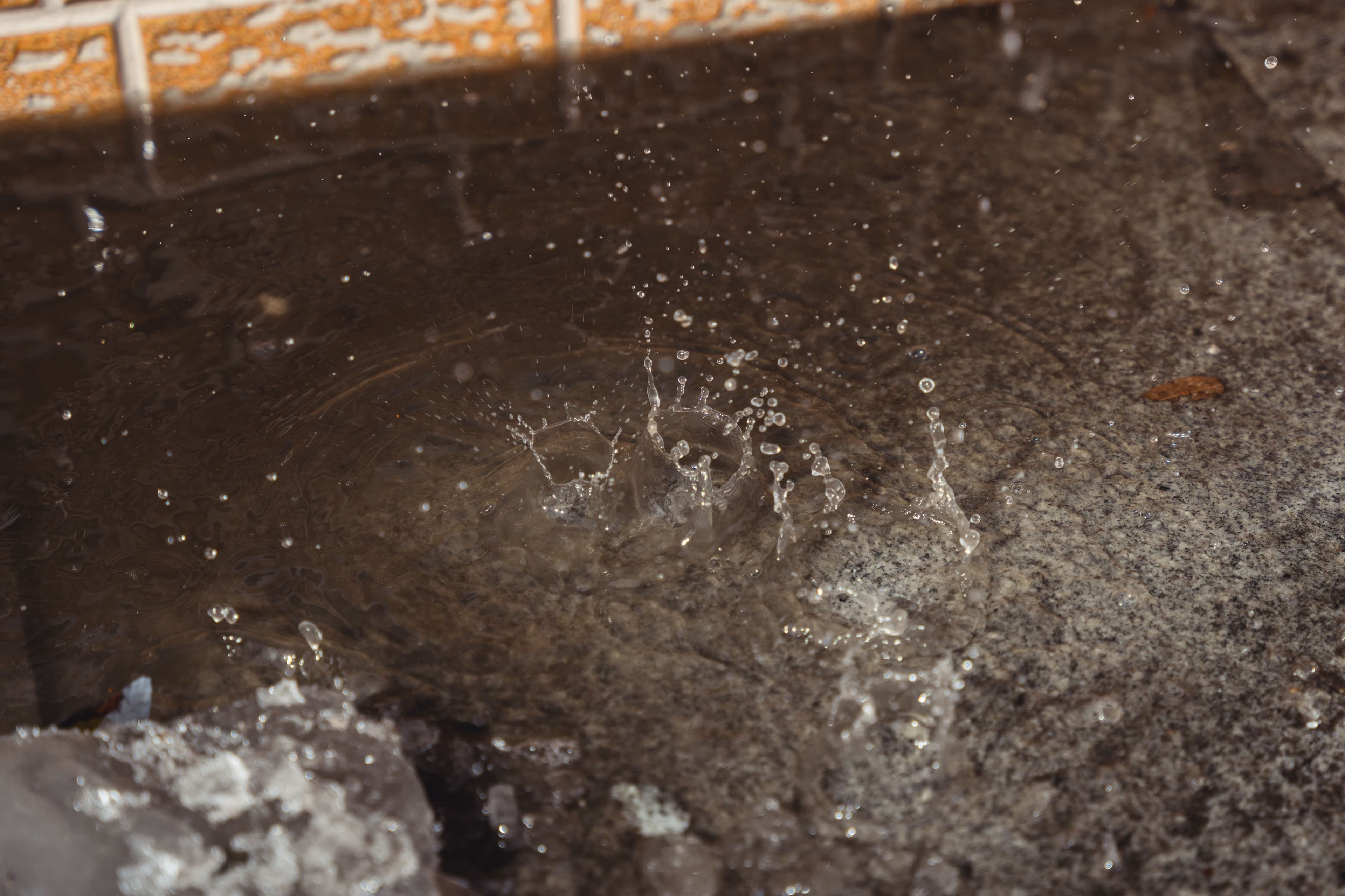 Photo playlist: Цас хайлах цагаар нийтлэлийн зураг