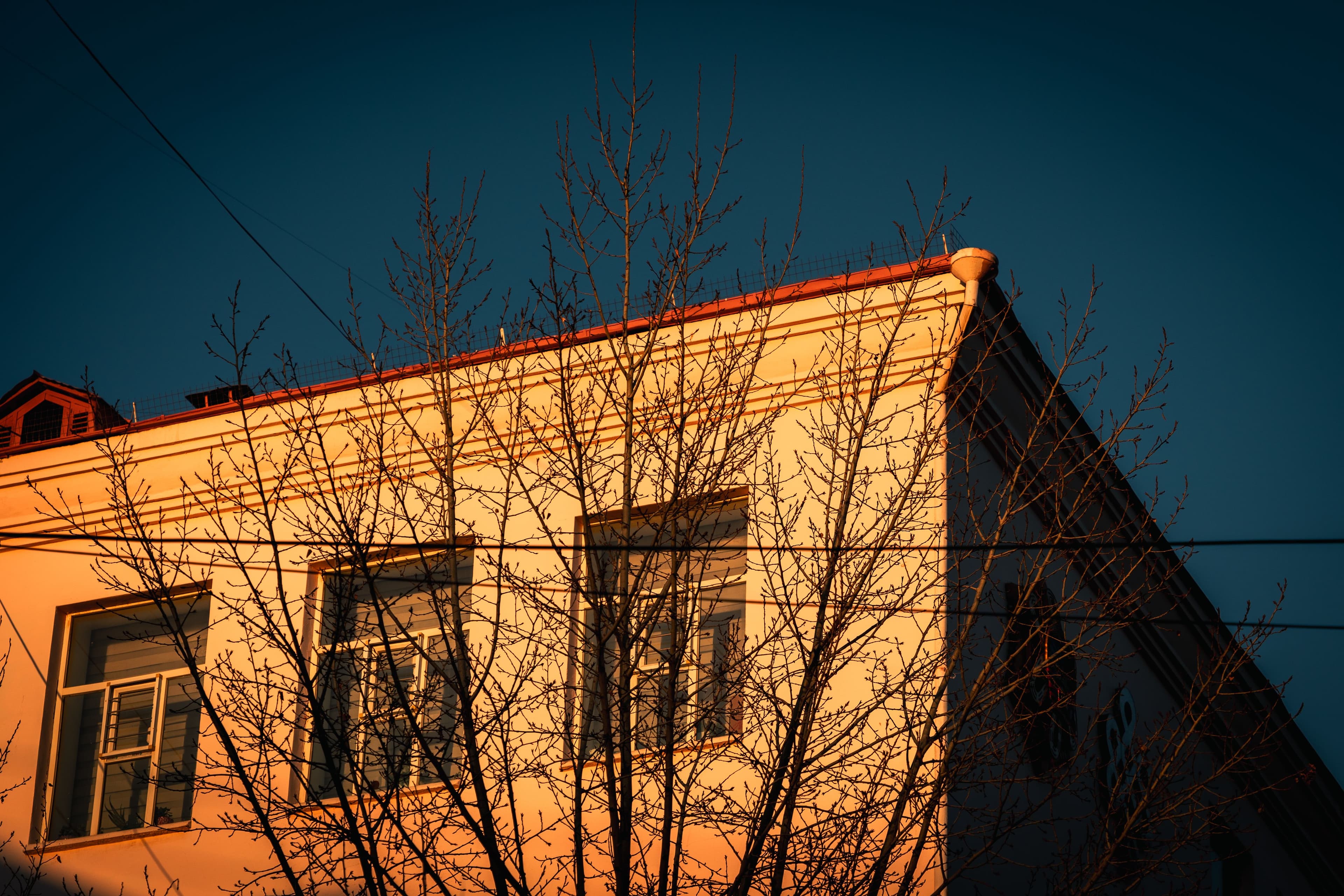 In Ulaanbaatar: Golden Hour нийтлэлийн зураг