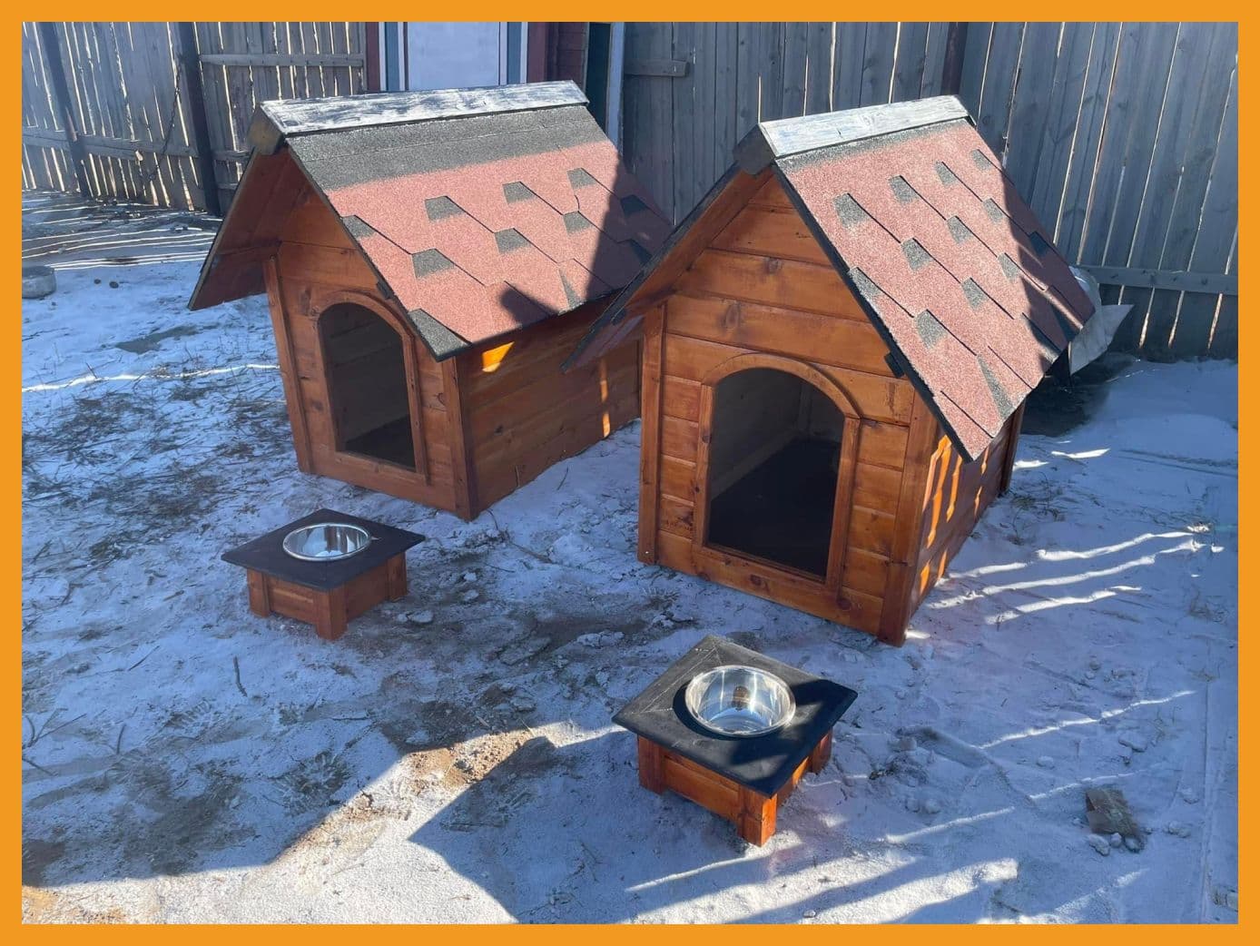 СУРВАЛЖИЛГА: Нохдыг битгий дааруул нийтлэлийн зураг