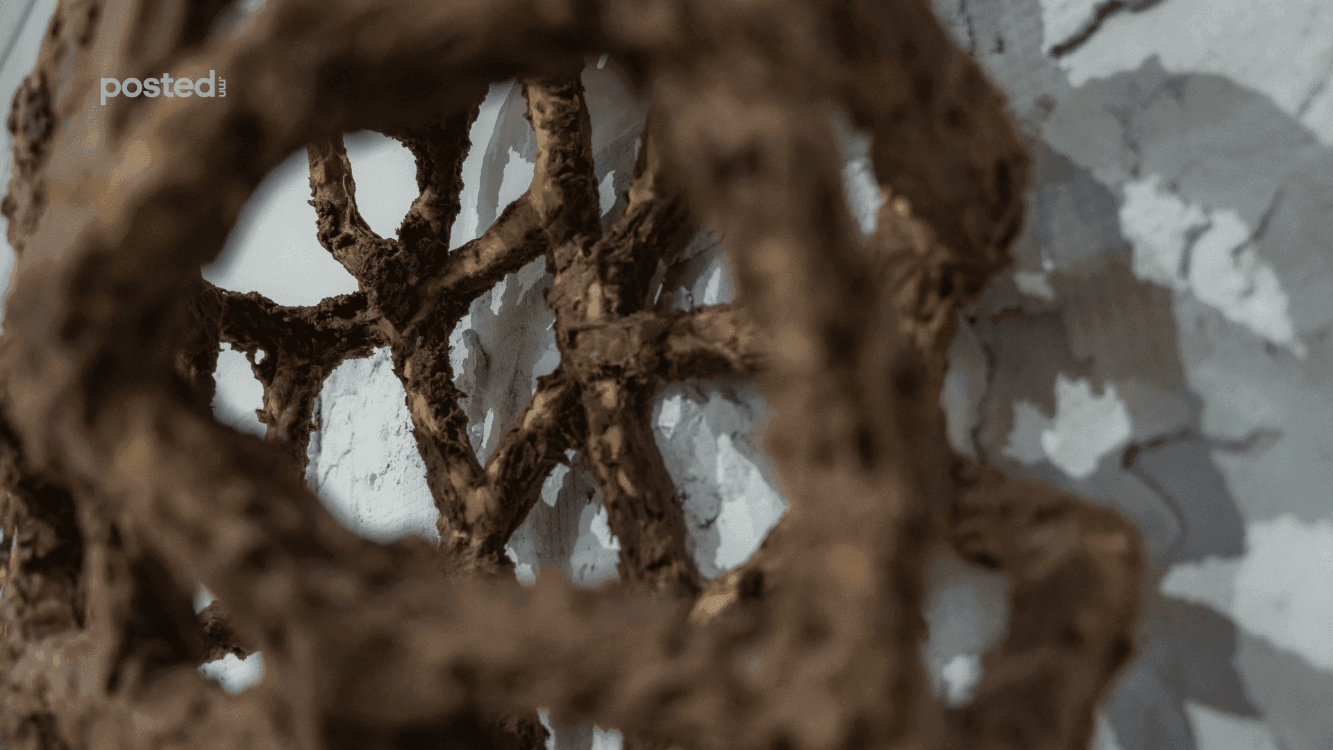 Урлагт уусах улаанбаатарчууд: Art Week 2024 нийтлэлийн зураг