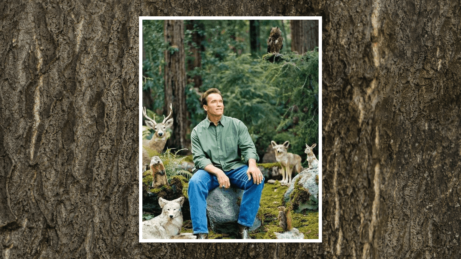 Байгаль бидний сэтгэл зүйд хэрхэн нөлөөлдөг вэ? нийтлэлийн зураг