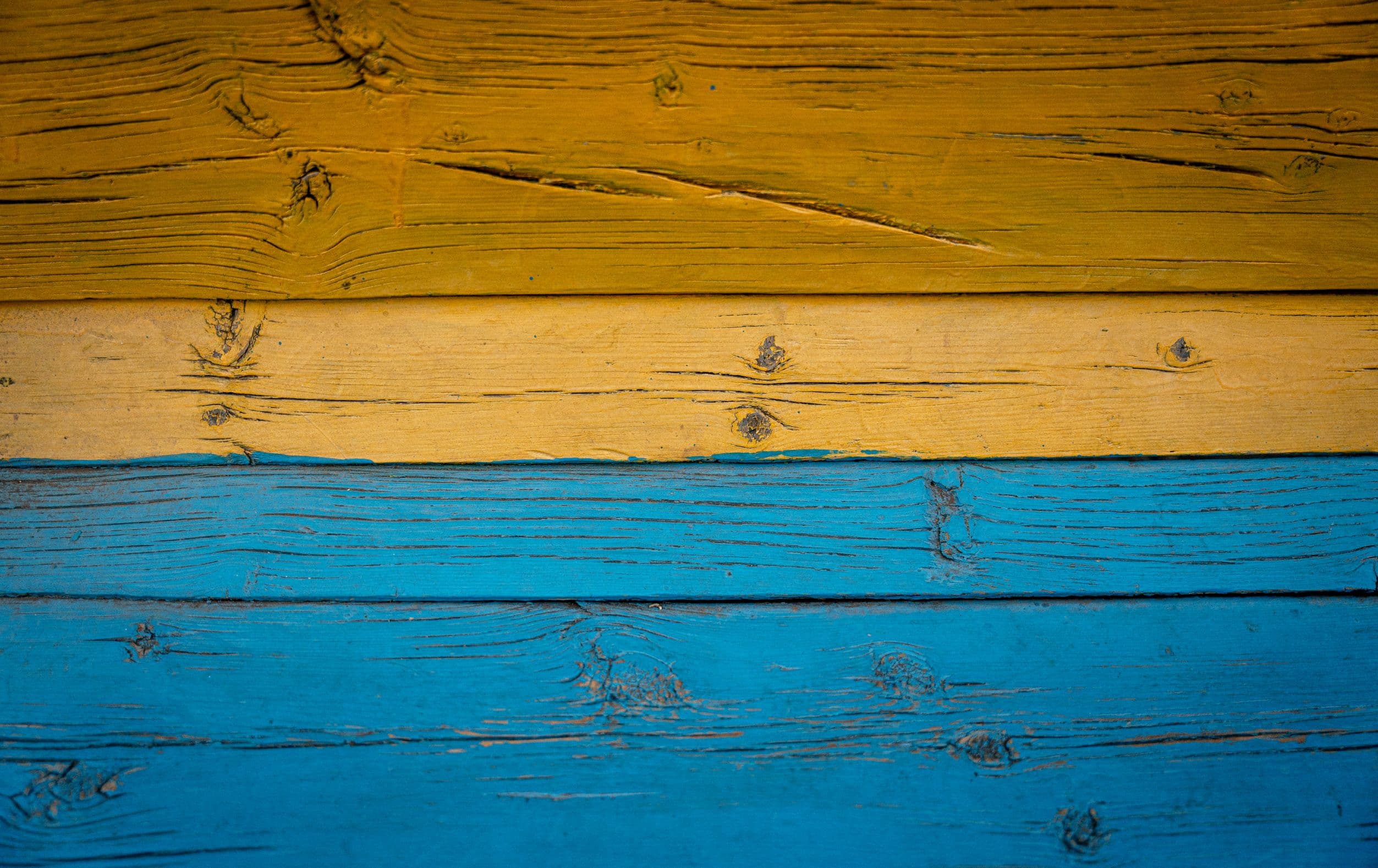 Өнгө /фото цуврал/ нийтлэлийн зураг