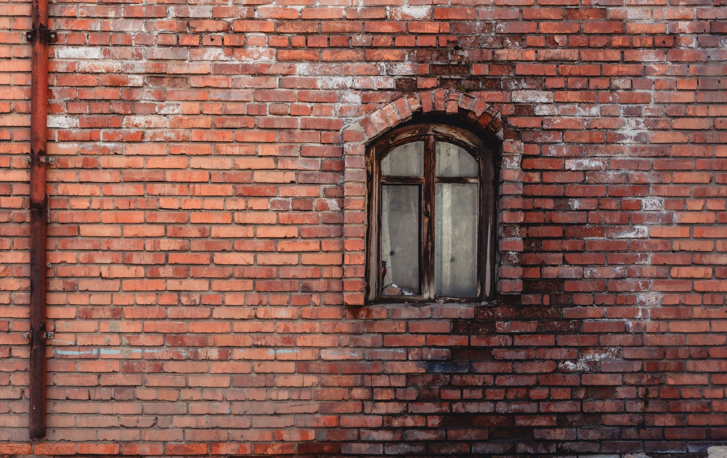 Өнгө /фото цуврал/ нийтлэлийн зураг