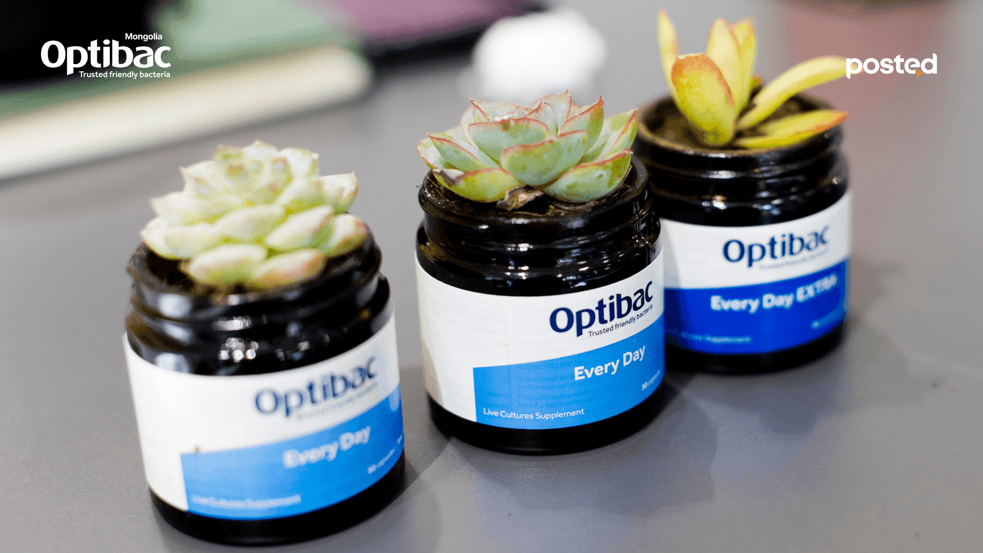 Т.Итгэл: Ашигтай бактери дутагдвал яаж ч хичээгээд ядарч, сульдаж өвдсөөр л байна  нийтлэлийн зураг