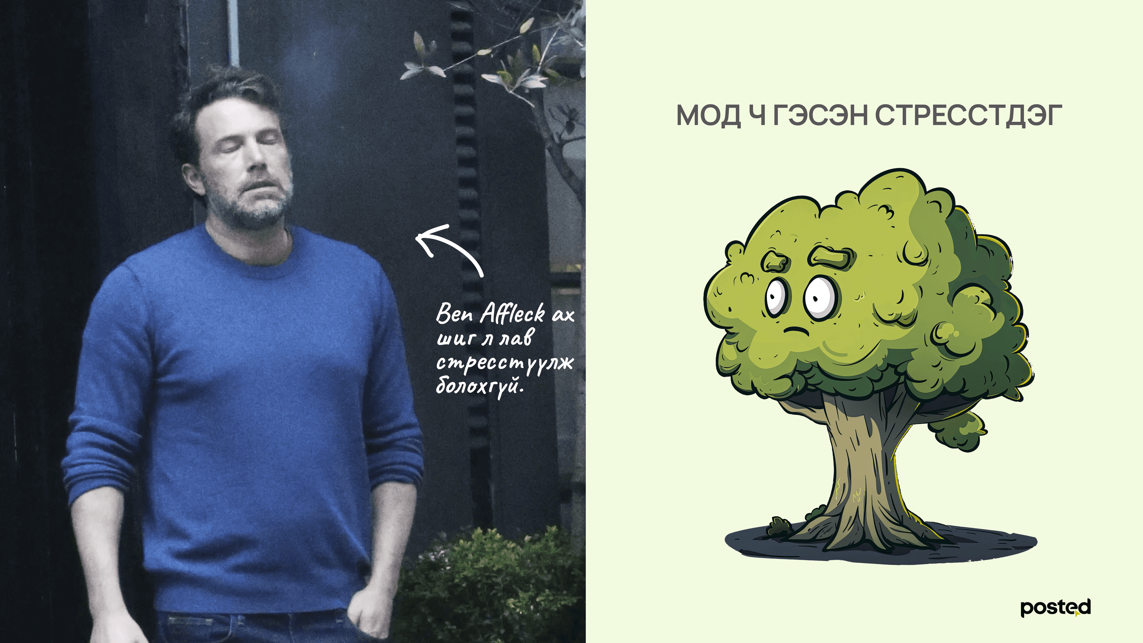 Намар тарьсан мод бусад үеэс 10 хувиар илүү ургадаг  нийтлэлийн зураг