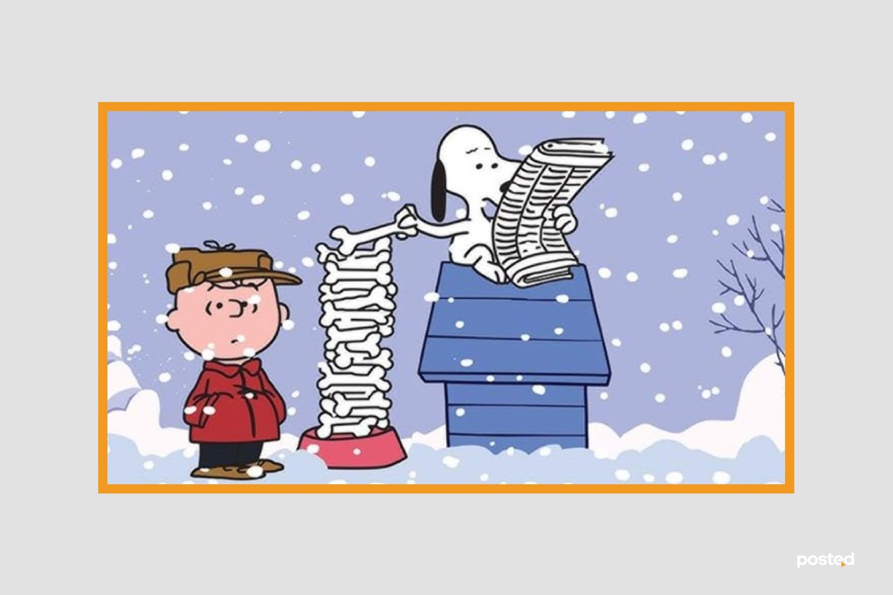 СУРВАЛЖИЛГА: Нохдыг битгий дааруул нийтлэлийн зураг