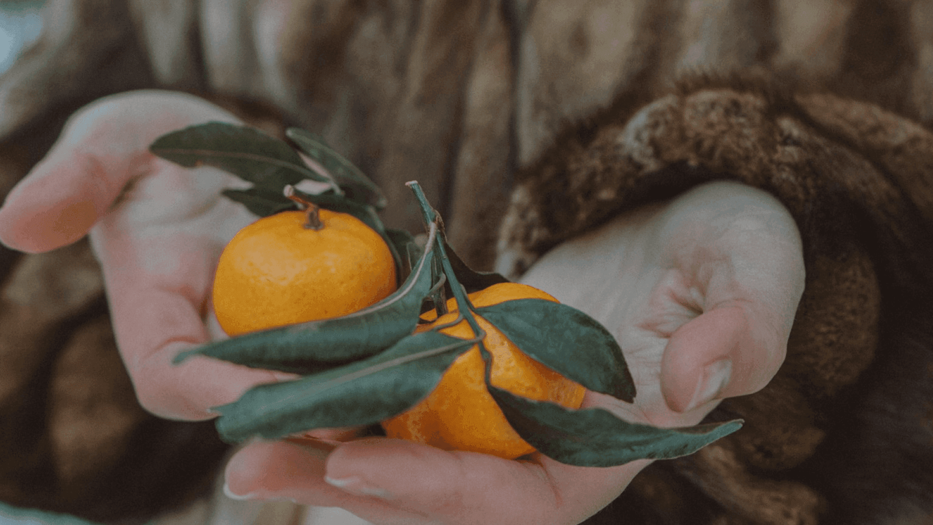 Орон орны шинэ жил: Хамгийн гоё шинэ жил хаана болдог бол? нийтлэлийн зураг