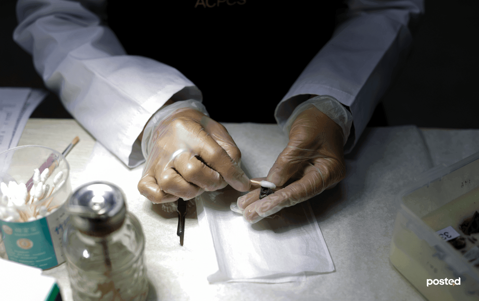 Р.ЭРДЭНЭЦЭЦЭГ: Археологийн олдворуудаа “аврах” үедээ л би хамгийн жаргалтай болдог нийтлэлийн зураг