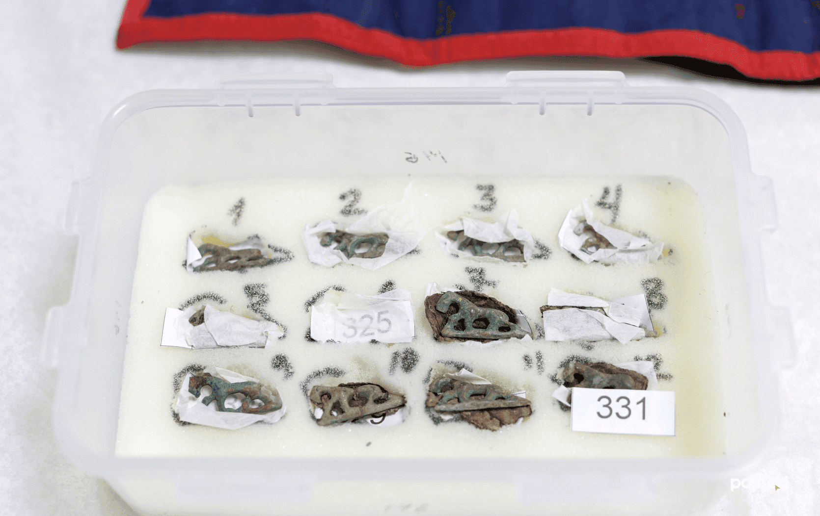 Р.ЭРДЭНЭЦЭЦЭГ: Археологийн олдворуудаа “аврах” үедээ л би хамгийн жаргалтай болдог нийтлэлийн зураг