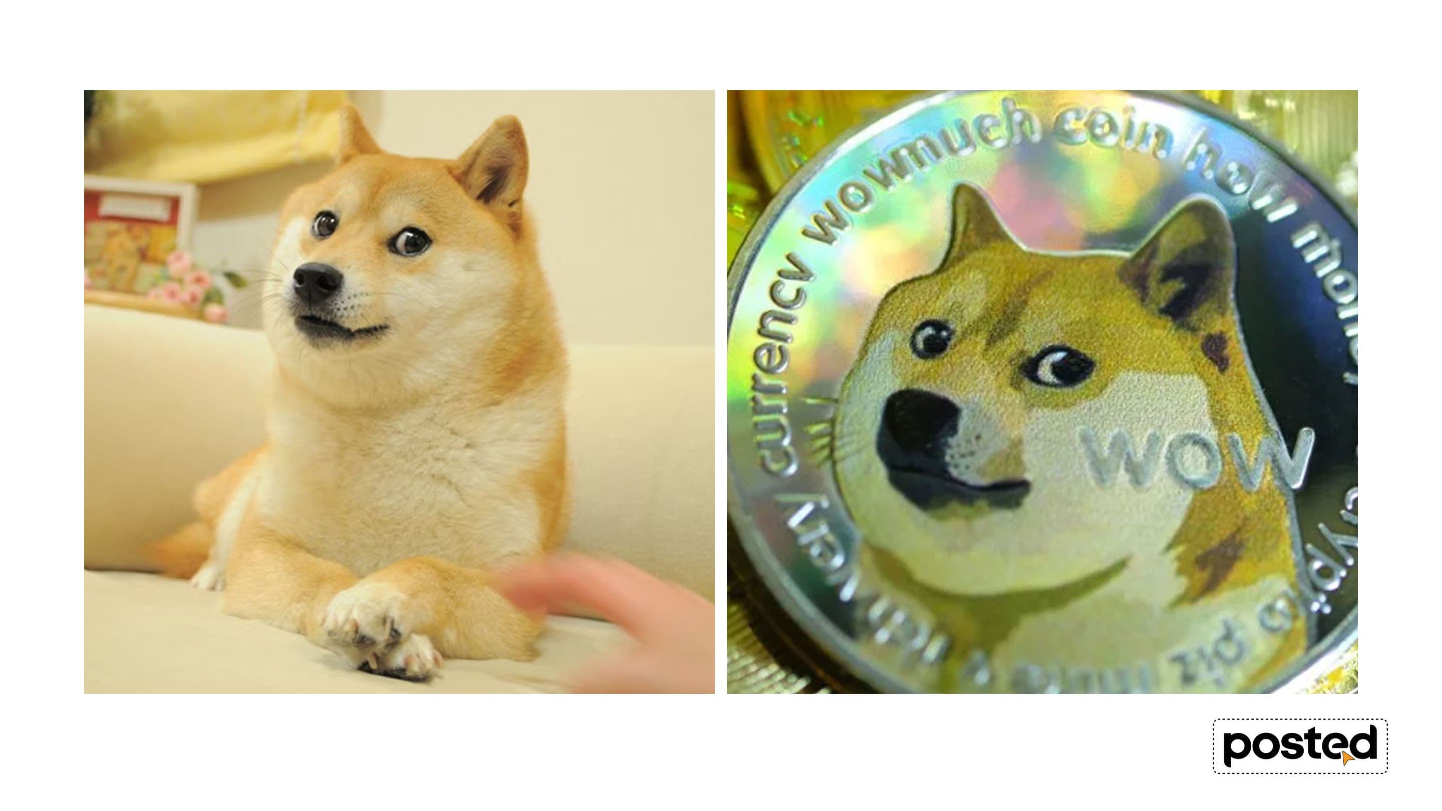 Мийм (meme) болсон хүмүүст юу тохиолддог вэ?  нийтлэлийн зураг