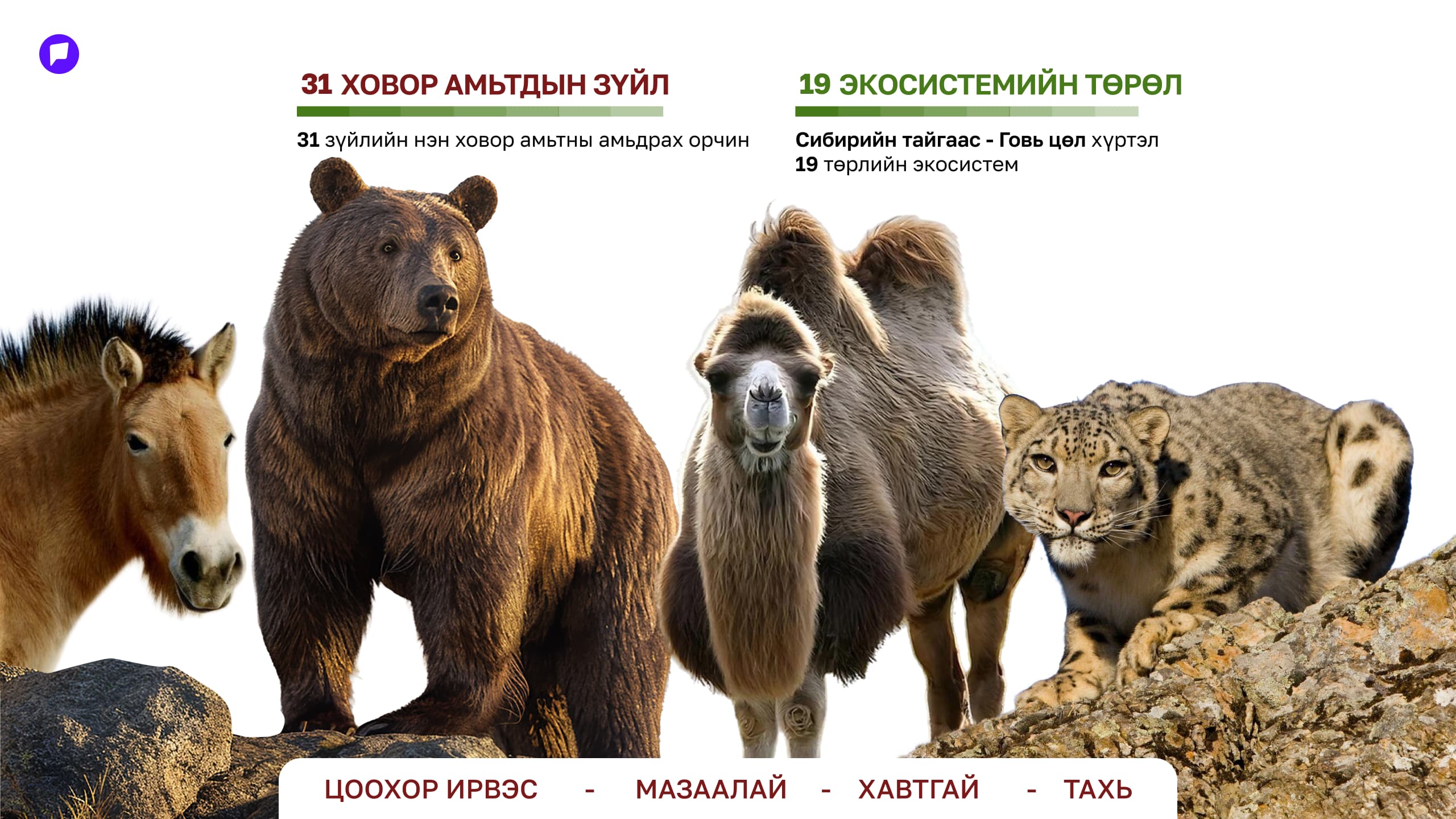 Ертөнцийн баялаг Монголд: Байгалийн өвийг хайрлахын учир нийтлэлийн зураг