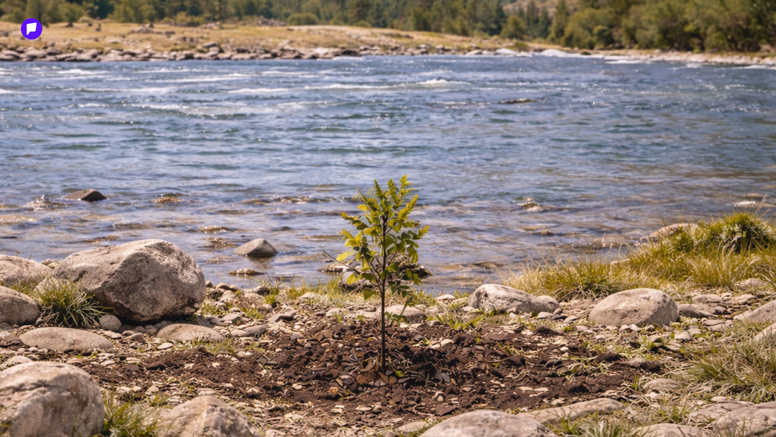 Ертөнцийн баялаг Монголд: Байгалийн өвийг хайрлахын учир нийтлэлийн зураг