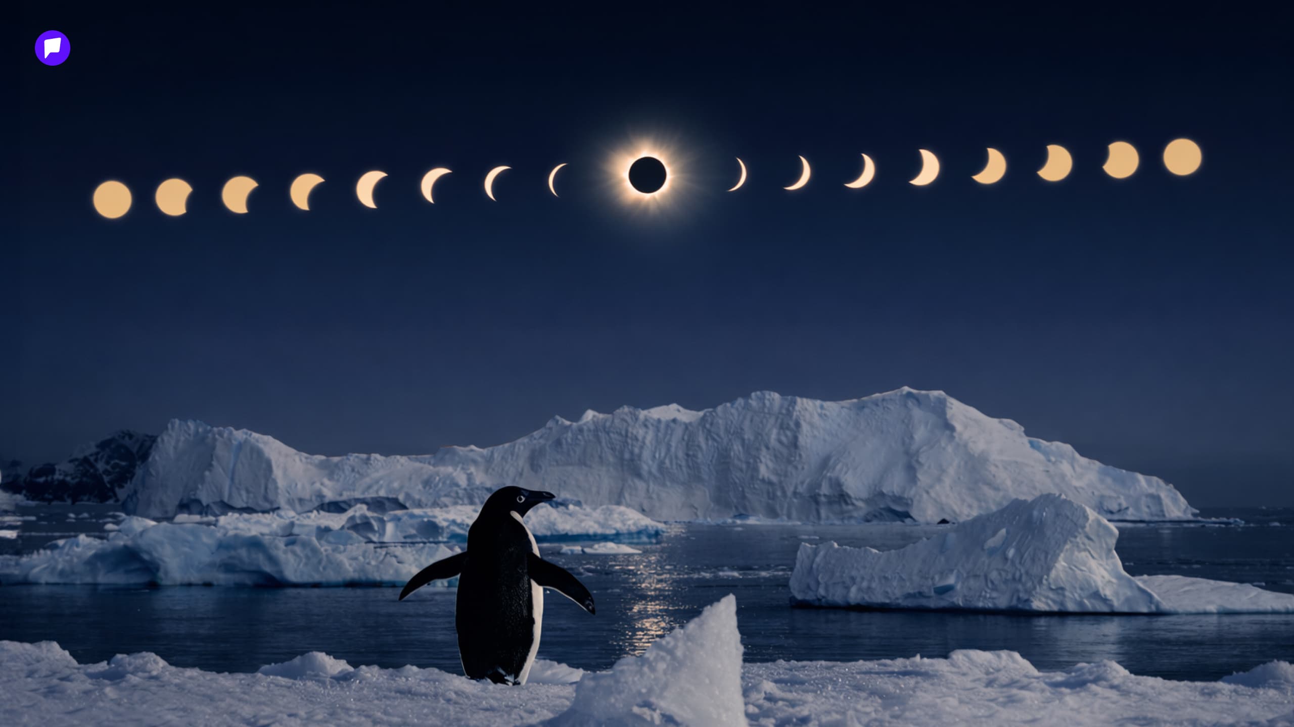 Оцон шувууд л харах боломжтой нарны хиртэлт - нийтлэлийн зураг