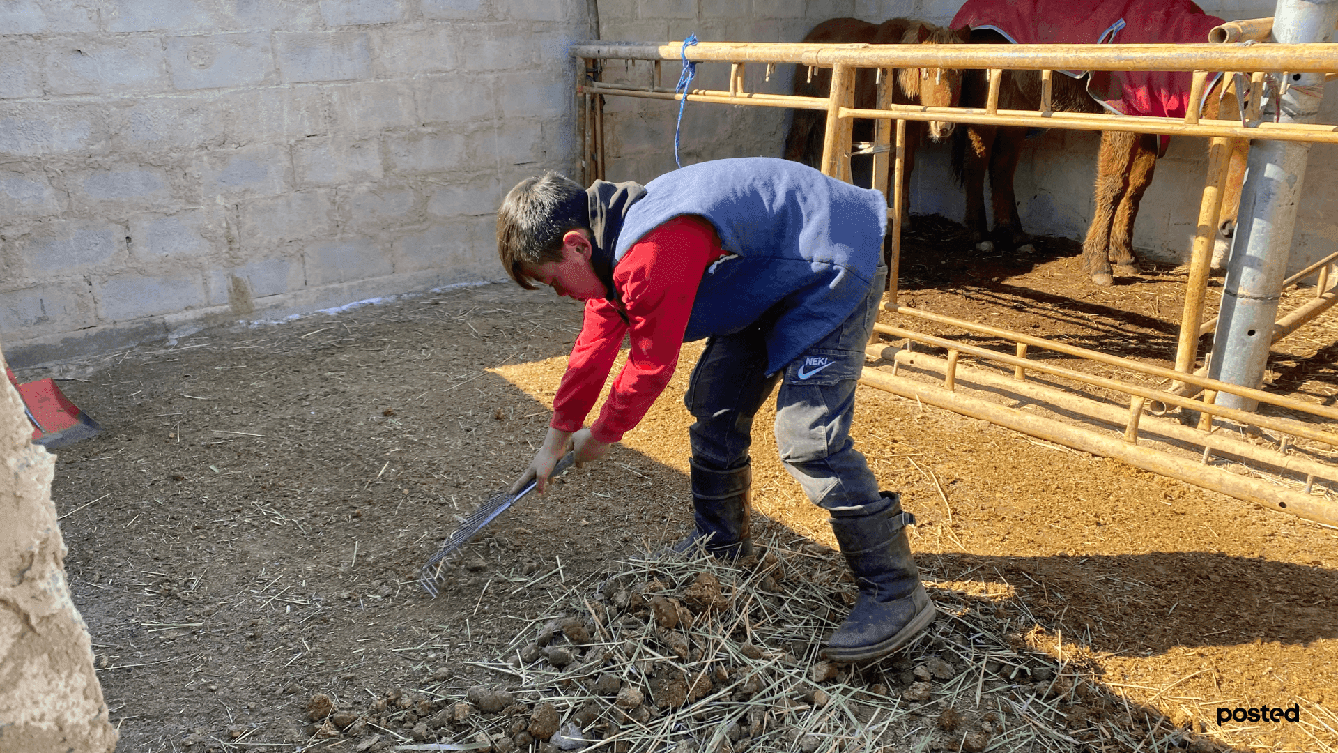 “Би өндөр болъё гэж боддоггүй, дахиад 2, 3 жил морио унаад уралдмаар байна”  нийтлэлийн зураг