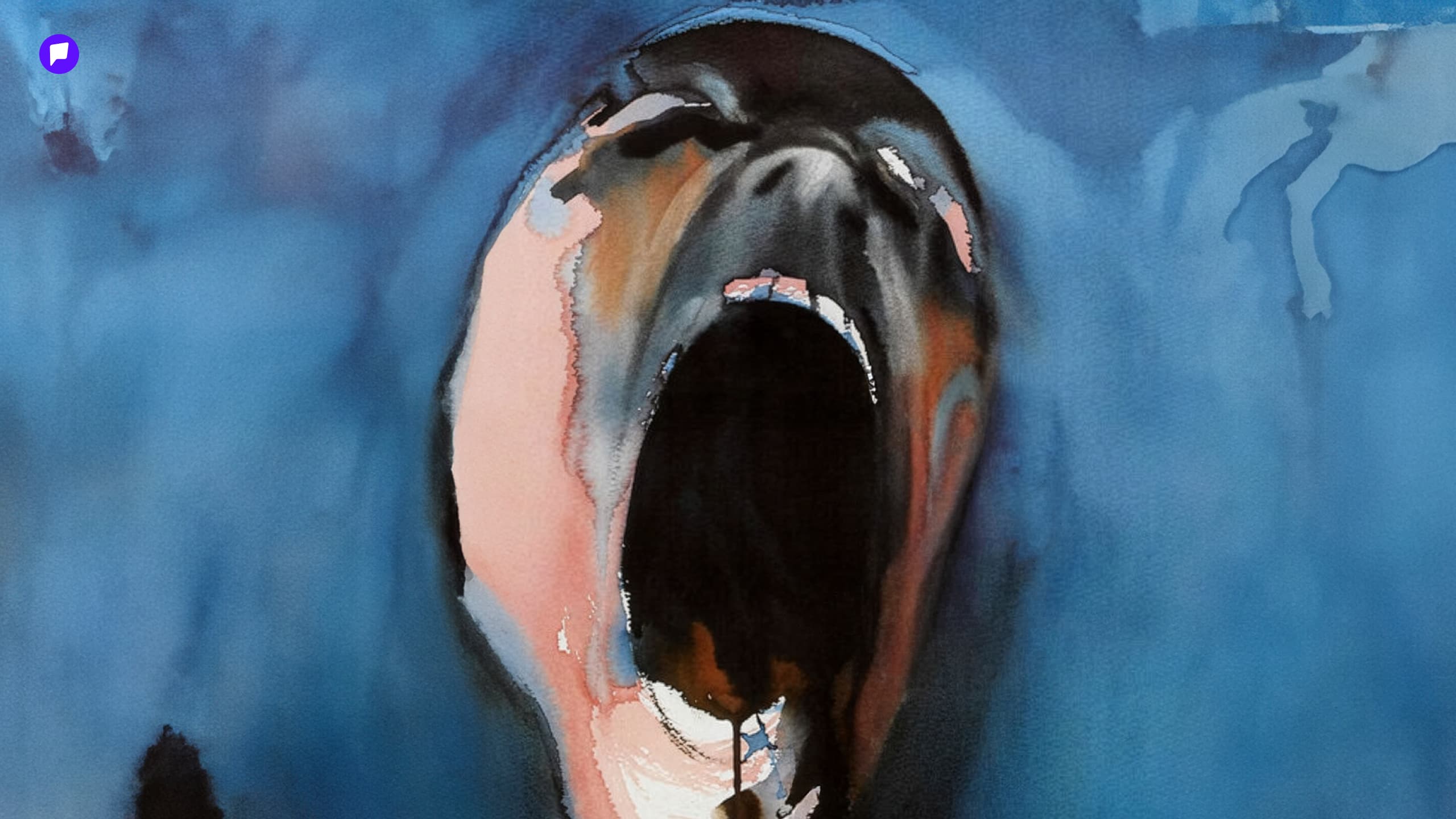 Хөгжмийг цомгоор нь сонсохын гайхамшиг нийтлэлийн зураг