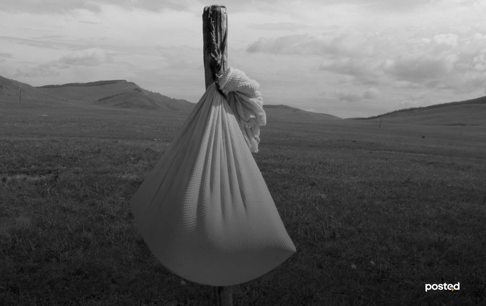 С.Эрдэнэбаяр: Технологи бидний амьд үлдэх шинэ арга болсон  нийтлэлийн зураг