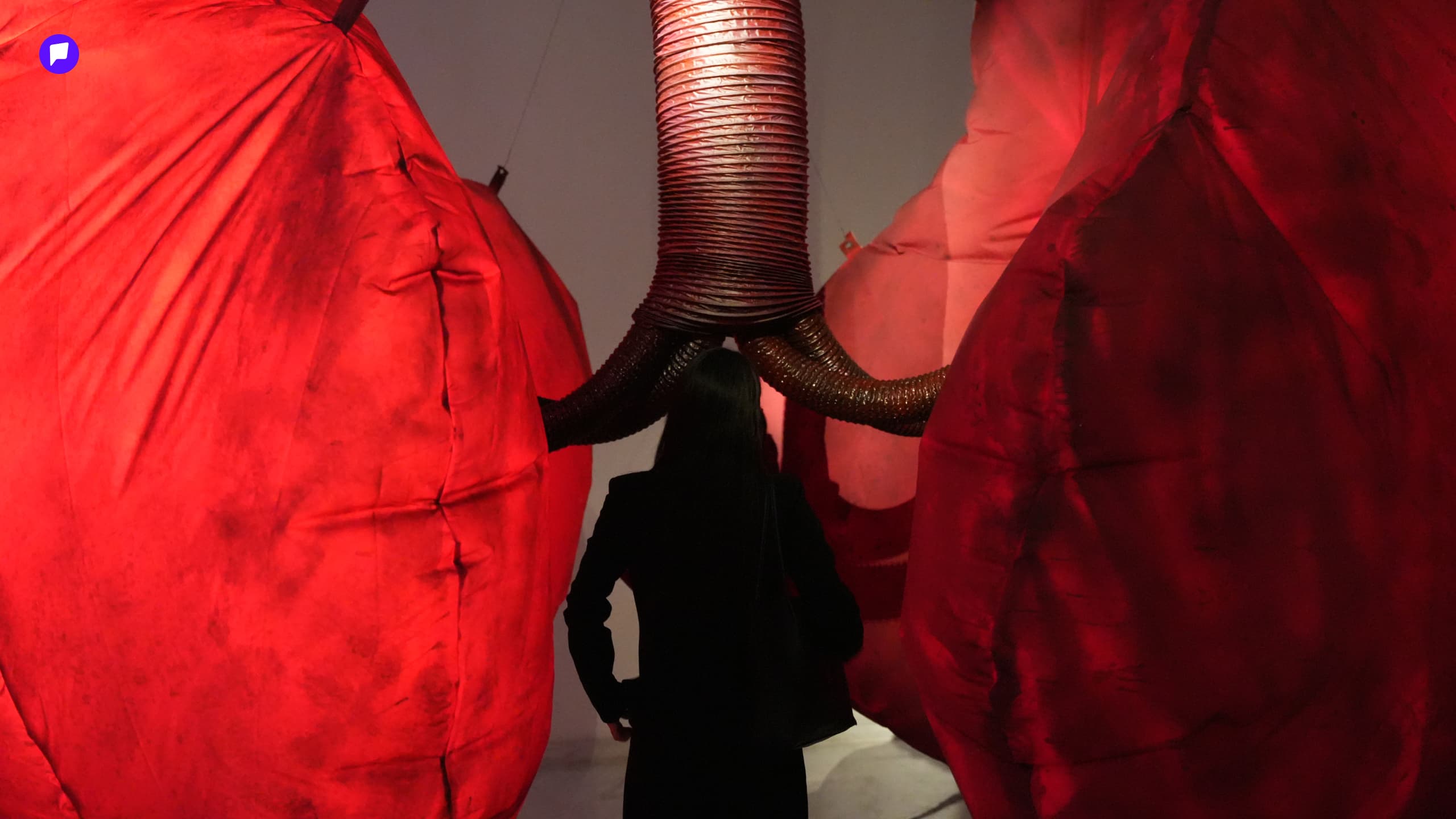 Gallery Hunting: Нийгмийн түгшүүрийг амилуулсан “Амь” үзэсгэлэн нийтлэлийн зураг