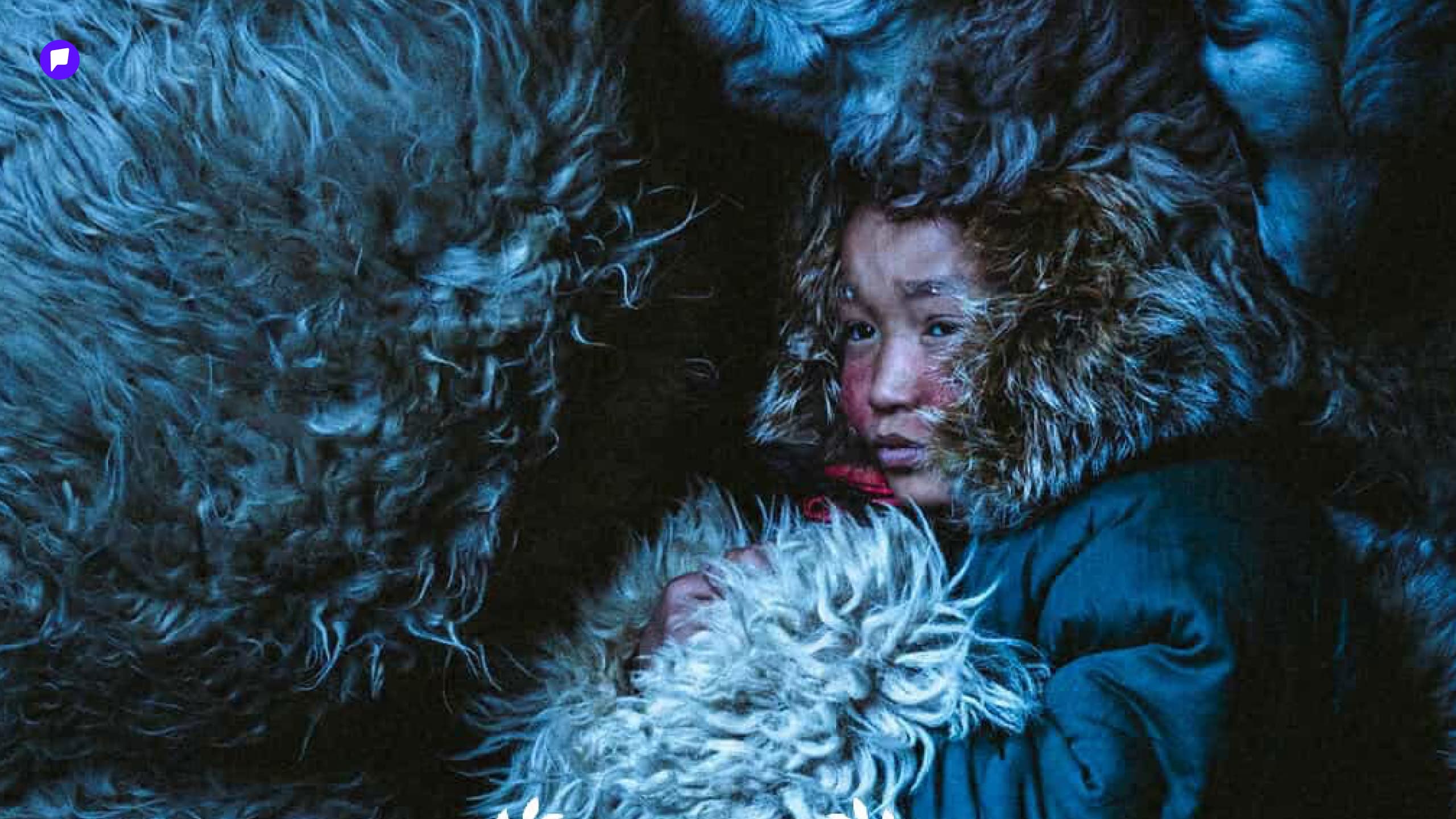 Найруулагч Б.Чингүүний "DZUD" кино "New York Movie Awards 2026" кино наадмаас "Best Feature Film" шагнал хүртлээ