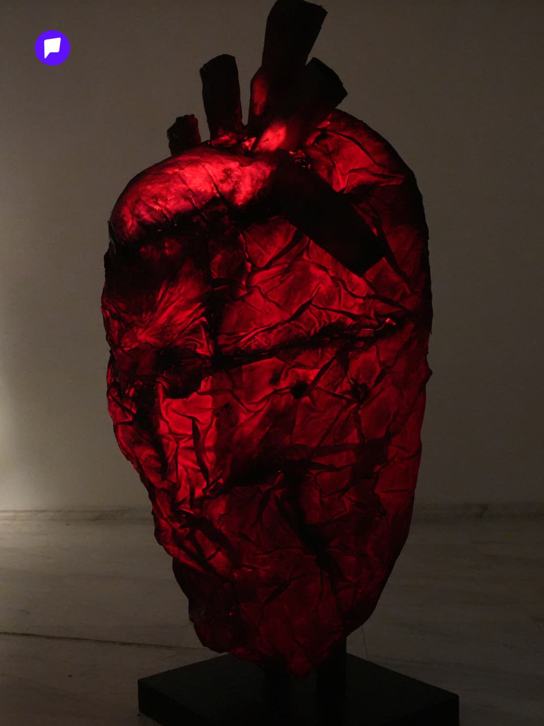 Gallery Hunting: Нийгмийн түгшүүрийг амилуулсан “Амь” үзэсгэлэн