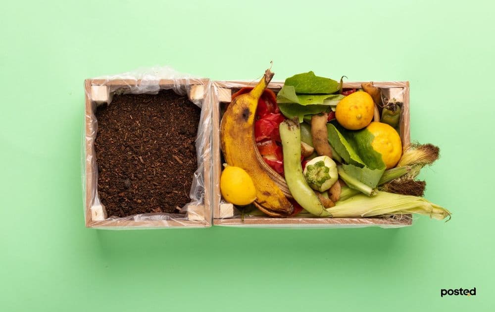 Хэрхэн хоолны хог хаягдлаа бордоо болгож ашиглах вэ? - нийтлэлийн зураг