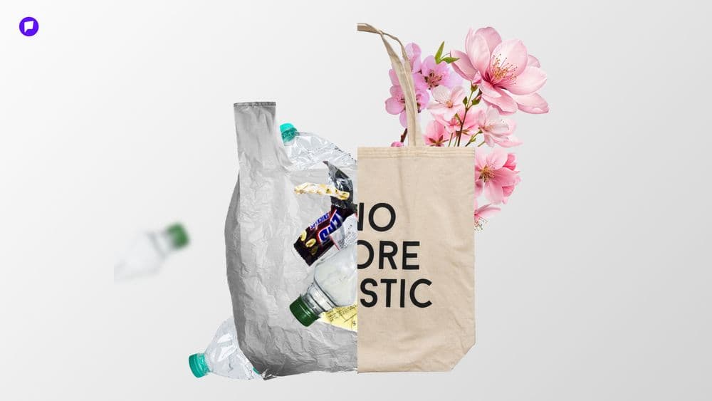 Бид үнэхээр ЭКО байж чаддаг уу?  - нийтлэлийн зураг