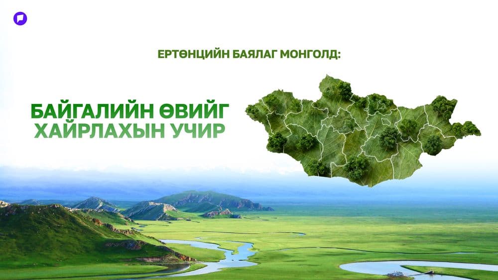 Ертөнцийн баялаг Монголд: Байгалийн өвийг хайрлахын учир - нийтлэлийн зураг
