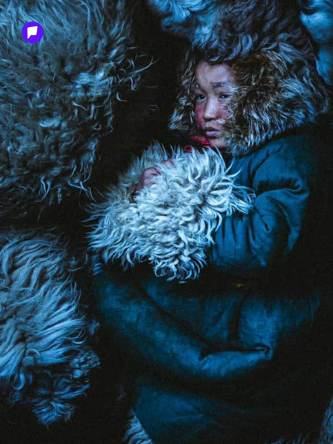 Найруулагч Б.Чингүүний "DZUD" кино "New York Movie Awards 2026" кино наадмаас "Best Feature Film" шагнал хүртлээ - онцлох нийтлэлийн зураг