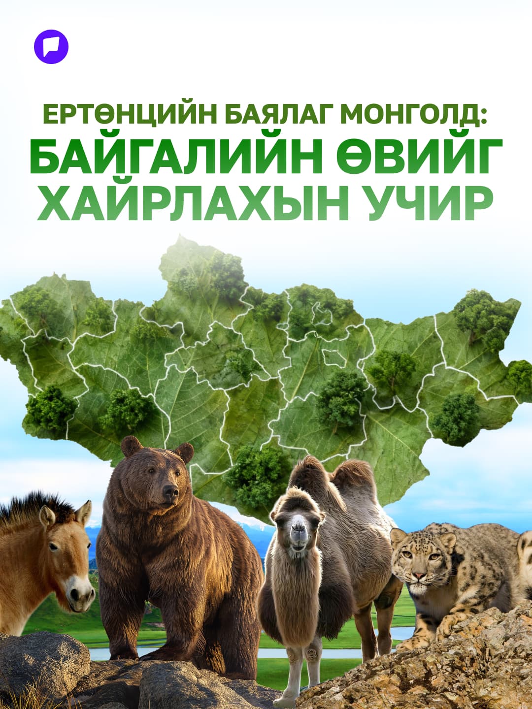Ертөнцийн баялаг Монголд: Байгалийн өвийг хайрлахын учир - нийтлэлийн зураг (гар утасны хувилбар)