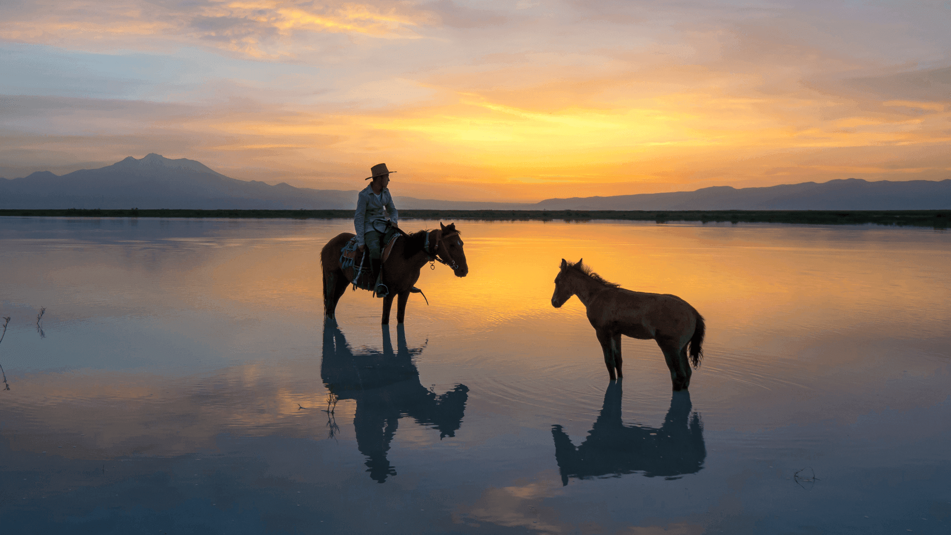 Монголчуудын библи юу вэ? “МОНГОЛ ХҮН” цуврал  - нийтлэлийн зураг