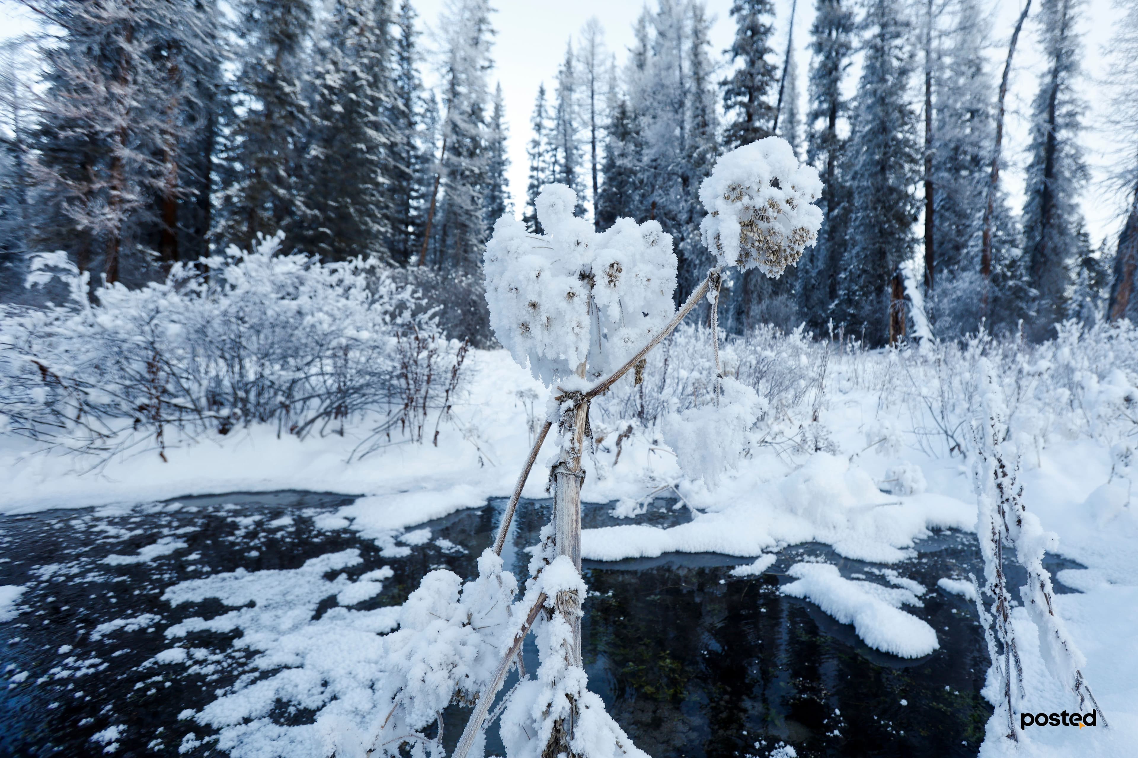 Баяртай өвөл минь: Жаргант голын цаст үзэсгэлэн нийтлэлийн зураг