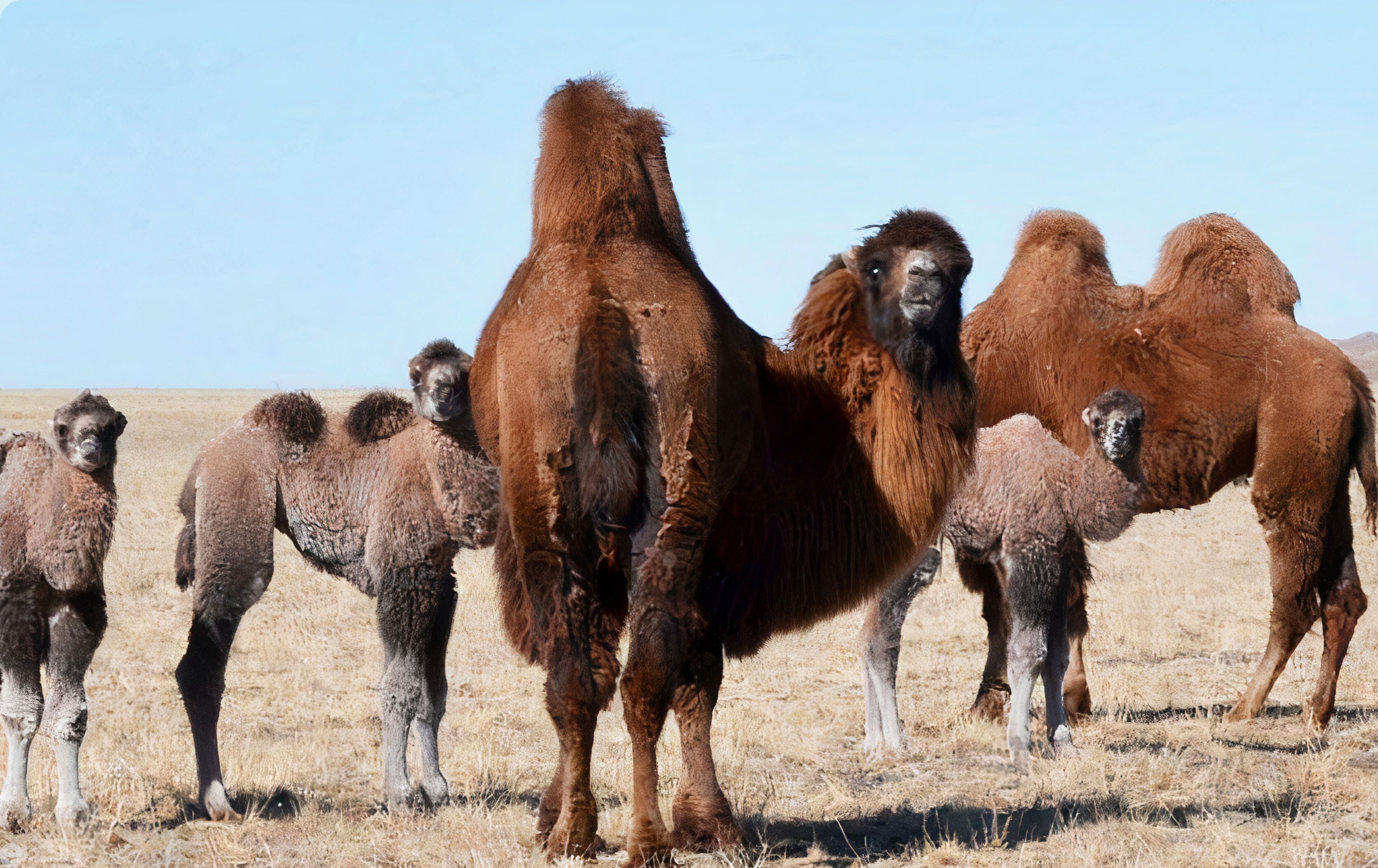 Ингээд хавар намайг “ЭМОРУУЛАХААР” ирлээ гэж үү? нийтлэлийн зураг
